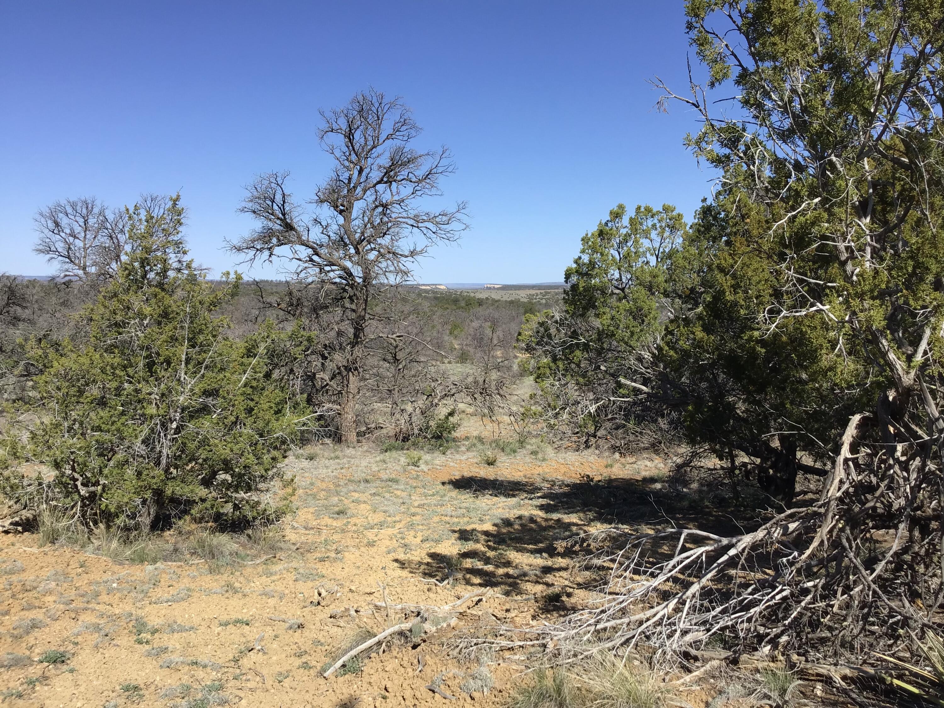 Lot 27 Country Lane, Ramah, New Mexico image 42