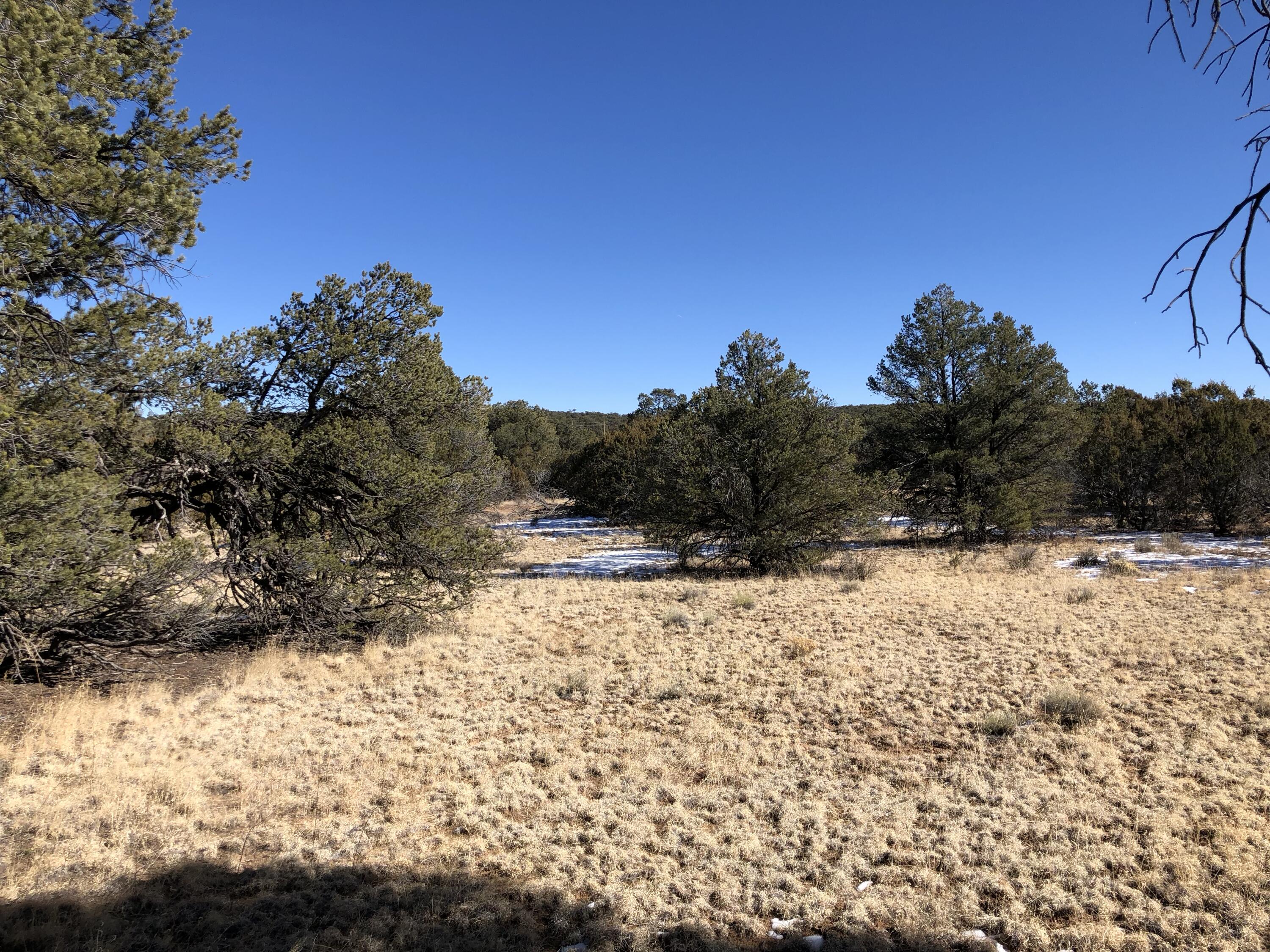 Lot 27 Country Lane, Ramah, New Mexico image 19