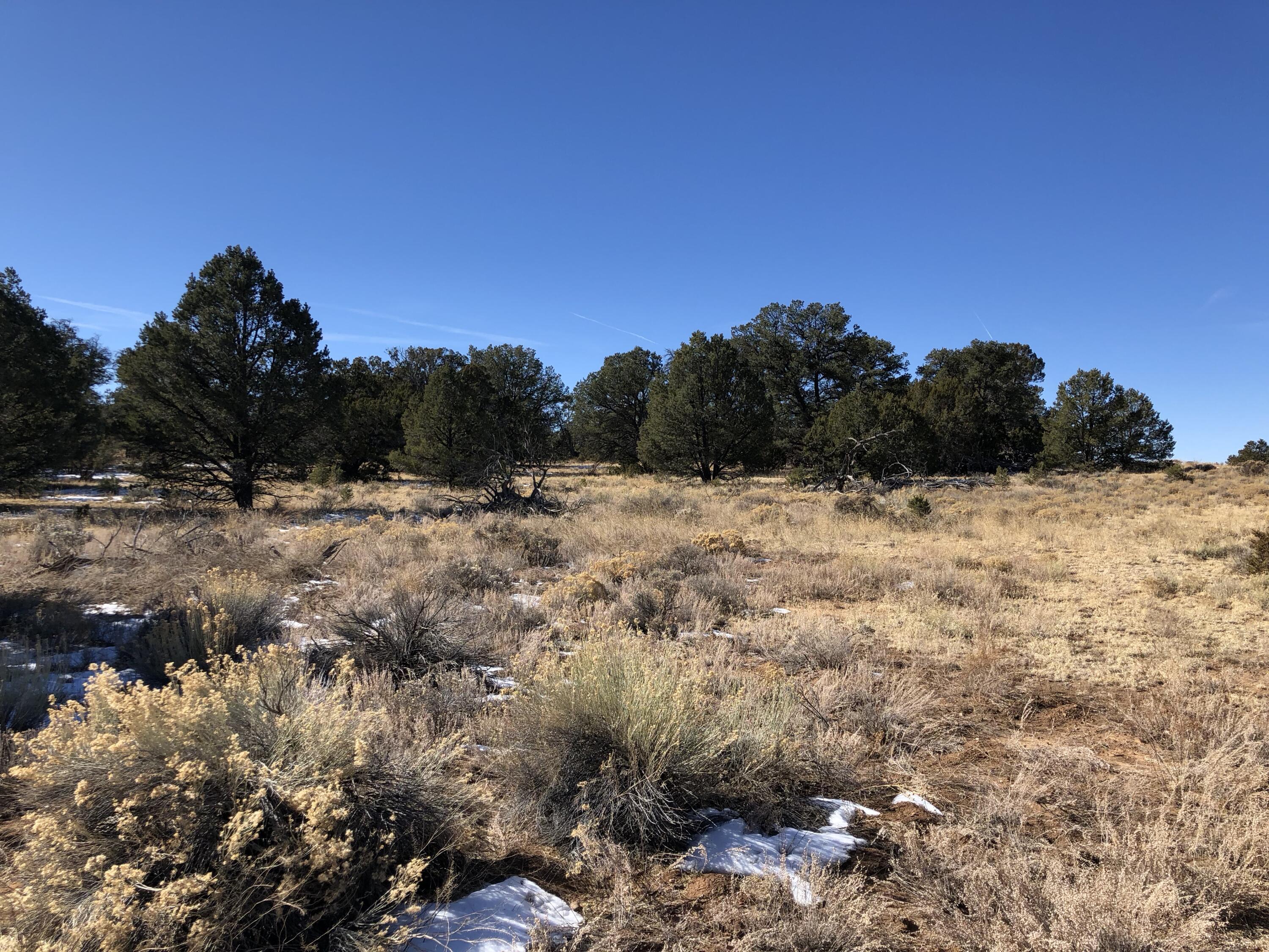 Lot 27 Country Lane, Ramah, New Mexico image 4