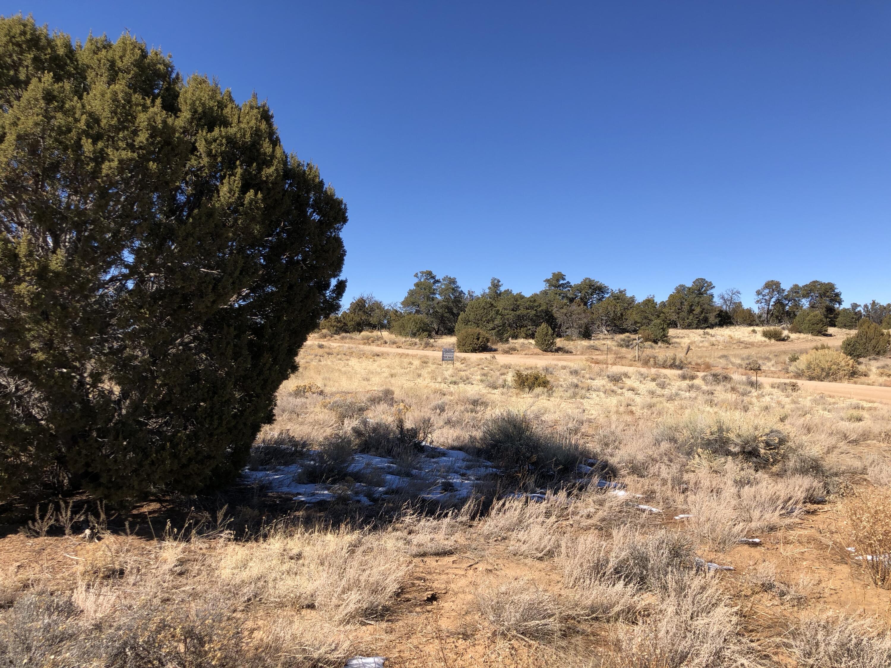 Lot 27 Country Lane, Ramah, New Mexico image 31