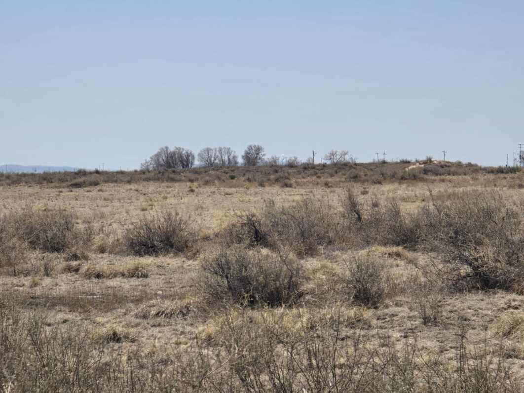 131 Willow Lake, Moriarty, New Mexico image 13