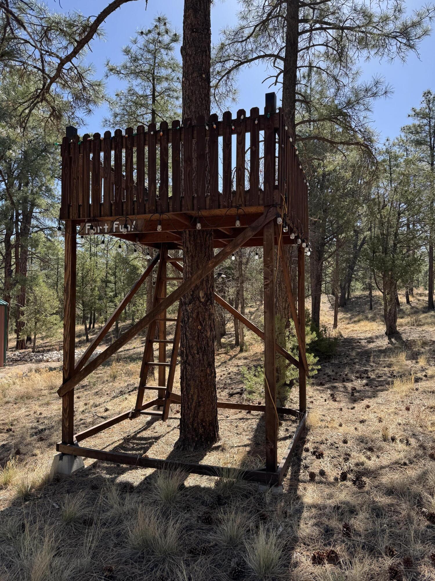 31 Smokey Bear Road, Ramah, New Mexico image 28