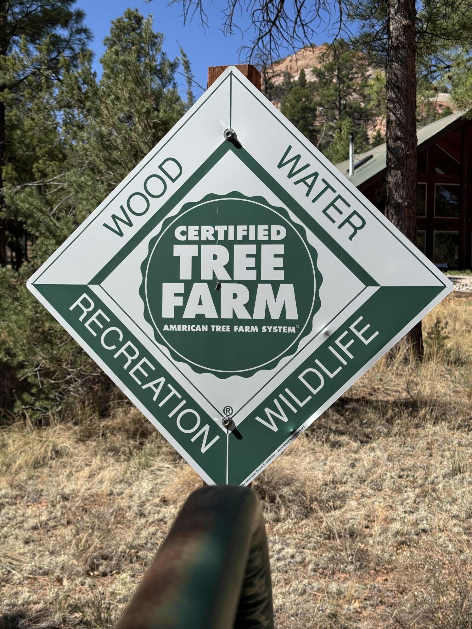 31 Smokey Bear Road, Ramah, New Mexico image 30