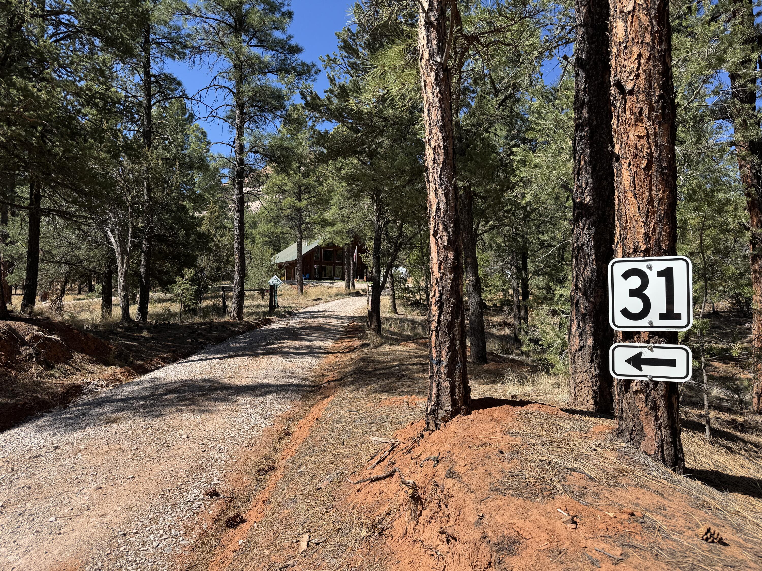 31 Smokey Bear Road, Ramah, New Mexico image 24