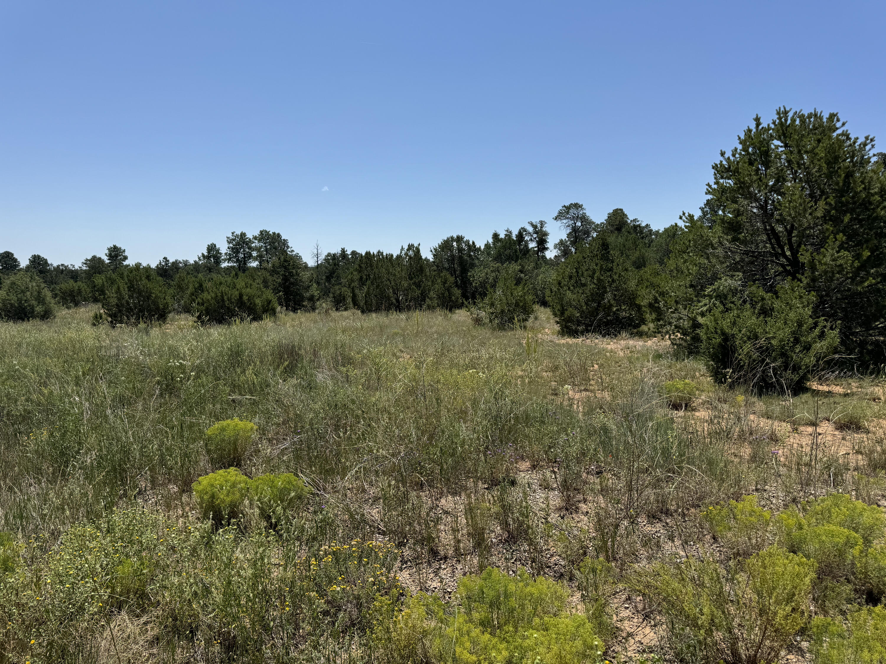 17 Camino Largo Road, Tijeras, New Mexico image 17