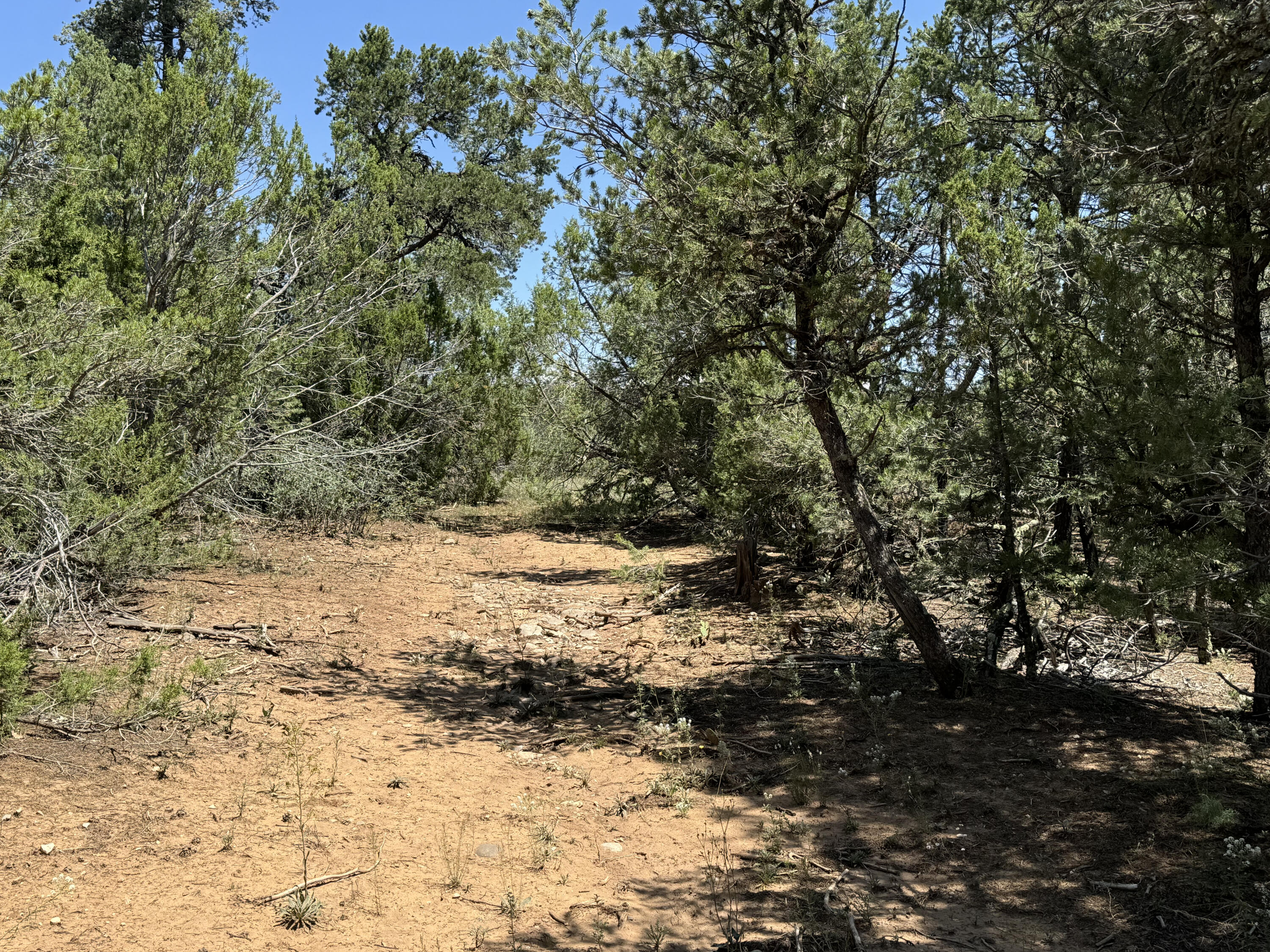 17 Camino Largo Road, Tijeras, New Mexico image 7