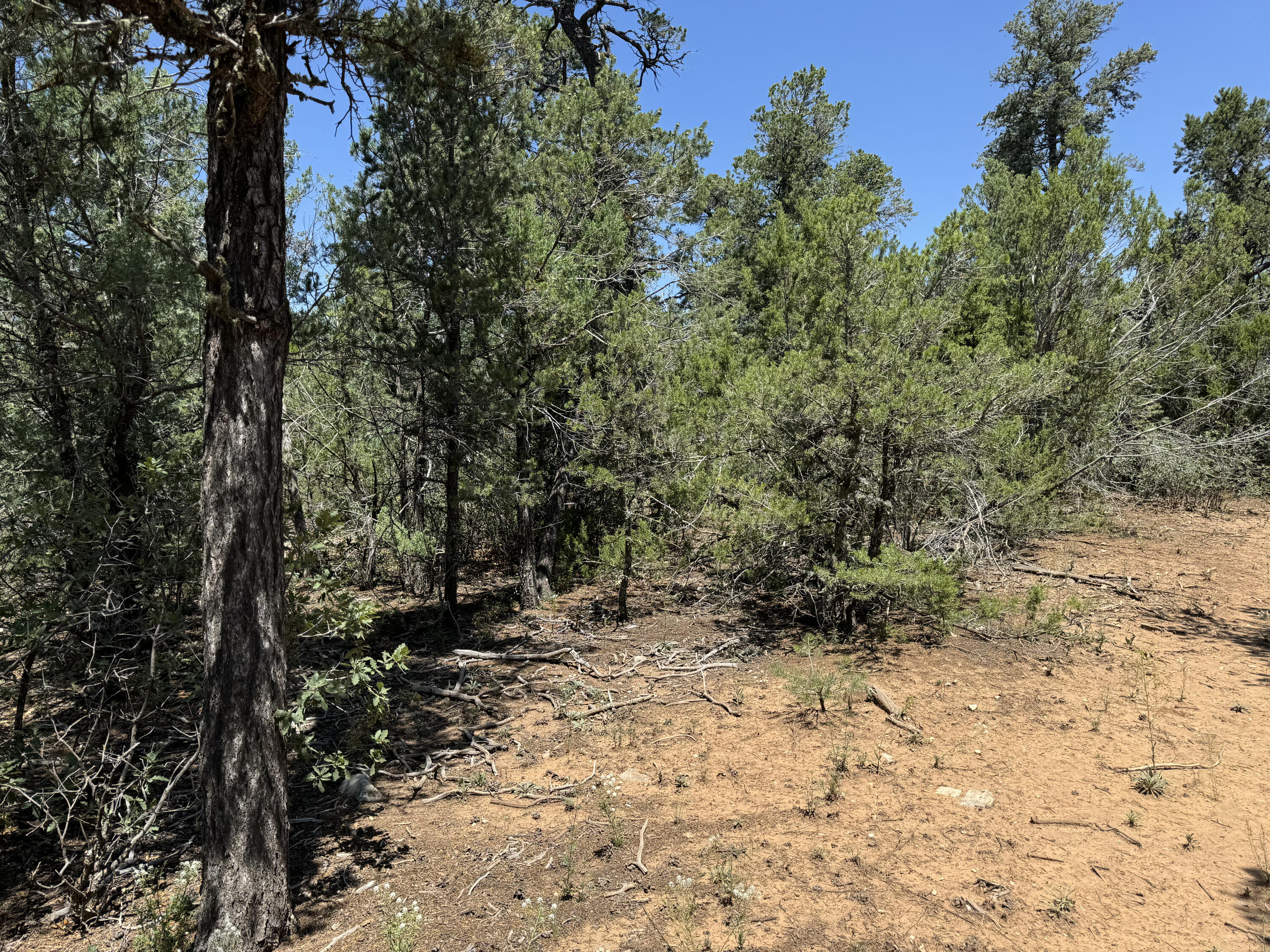 17 Camino Largo Road, Tijeras, New Mexico image 6