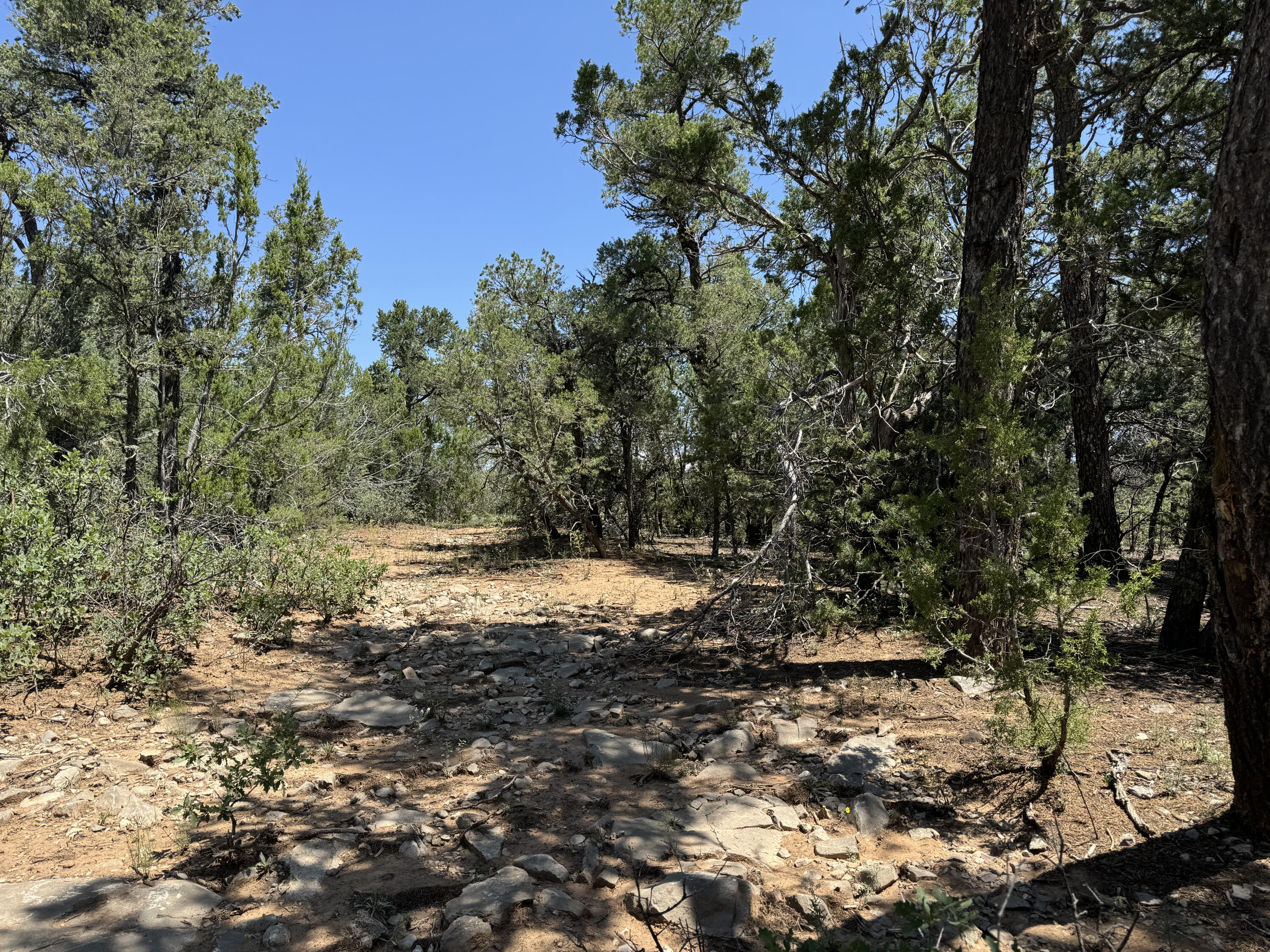 17 Camino Largo Road, Tijeras, New Mexico image 1