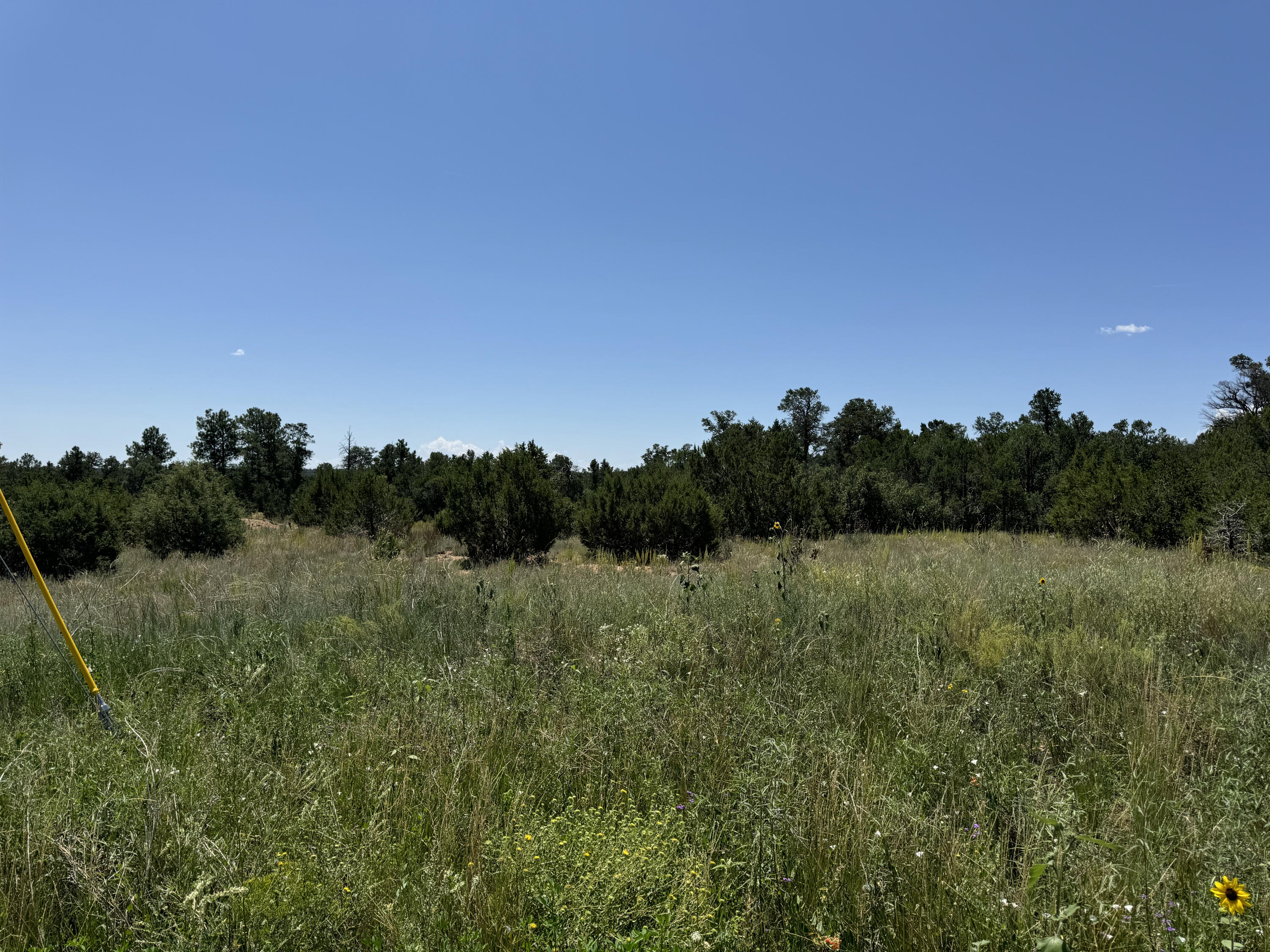 17 Camino Largo Road, Tijeras, New Mexico image 14