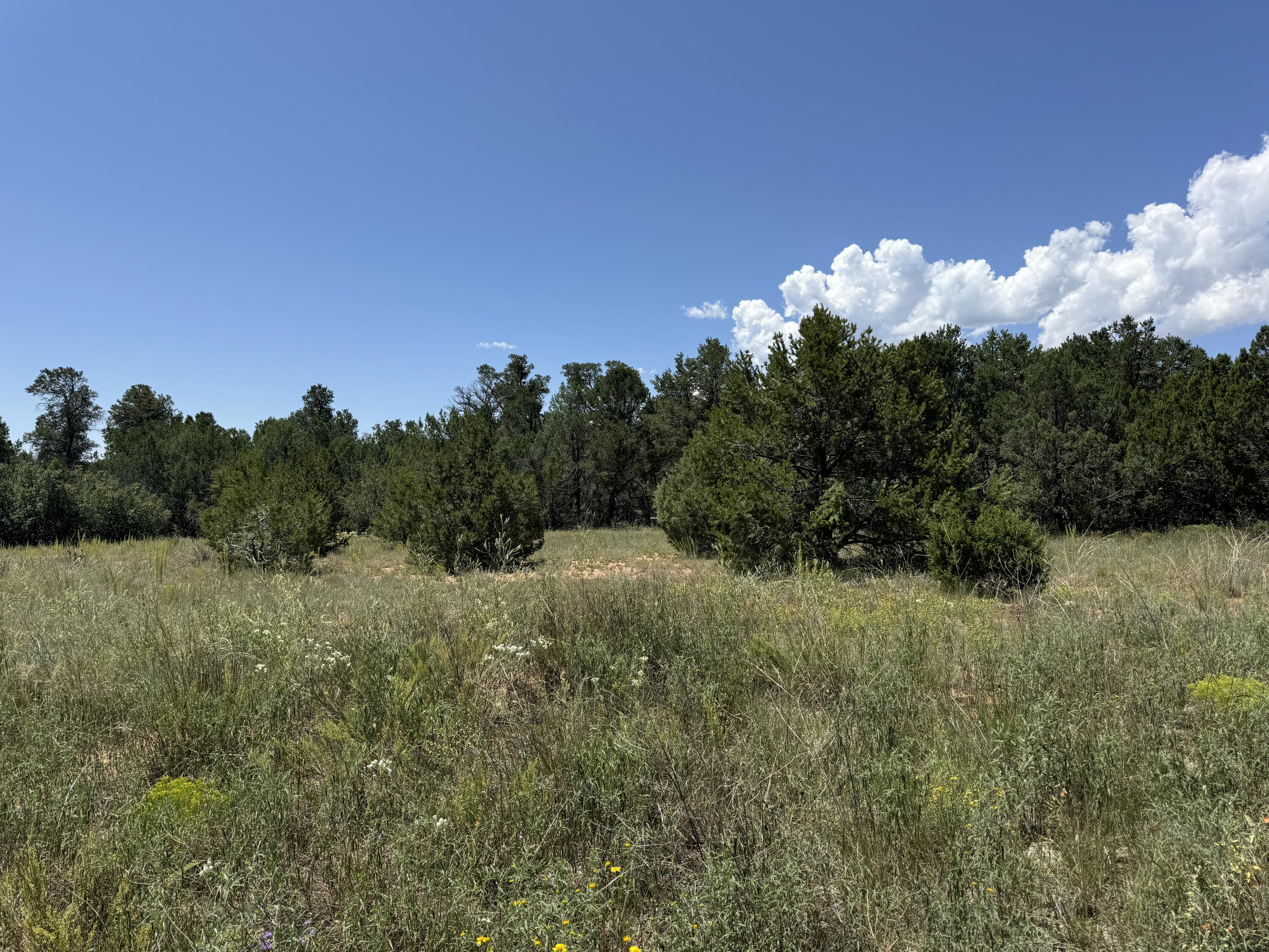 17 Camino Largo Road, Tijeras, New Mexico image 11