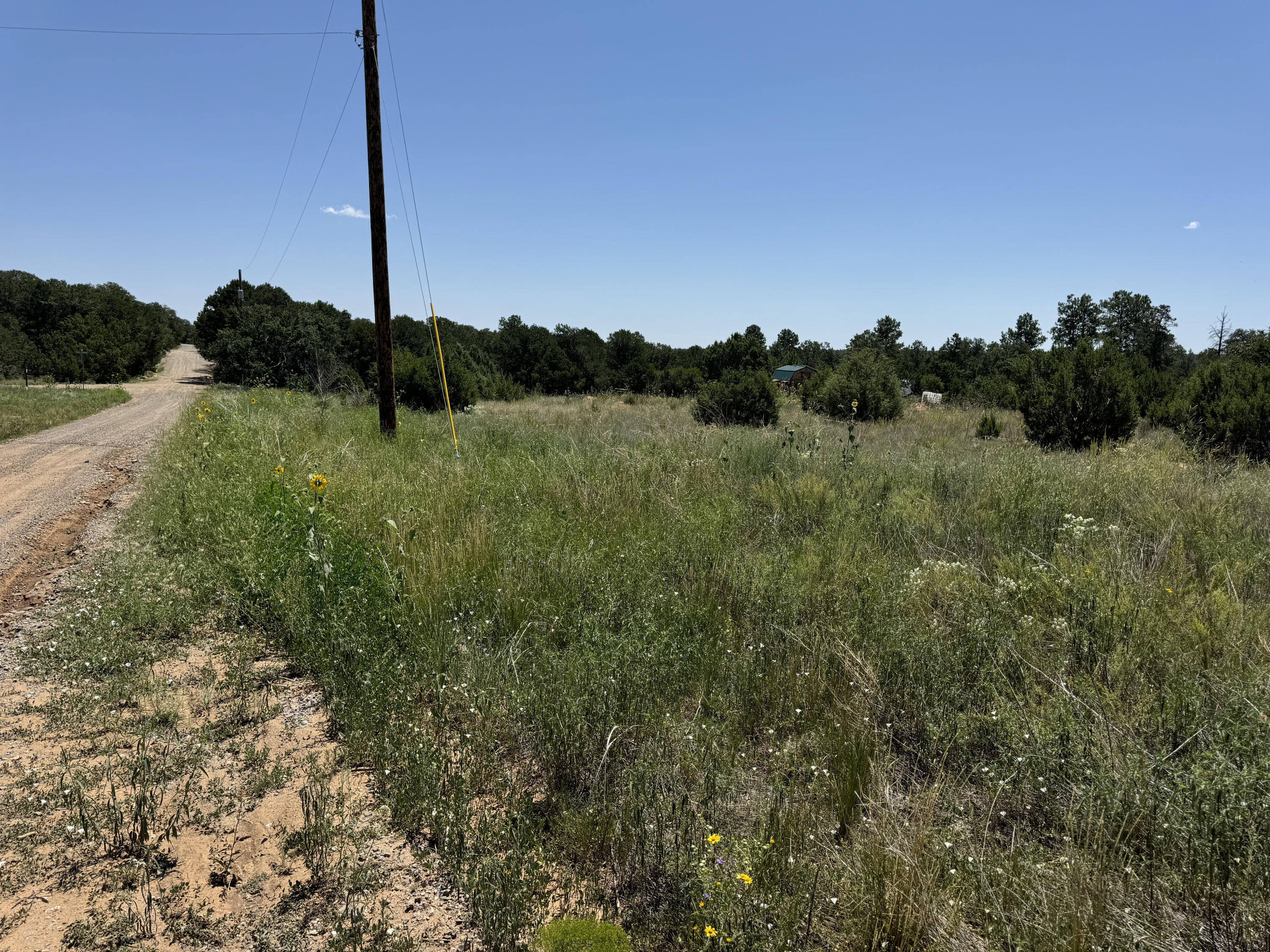 17 Camino Largo Road, Tijeras, New Mexico image 9