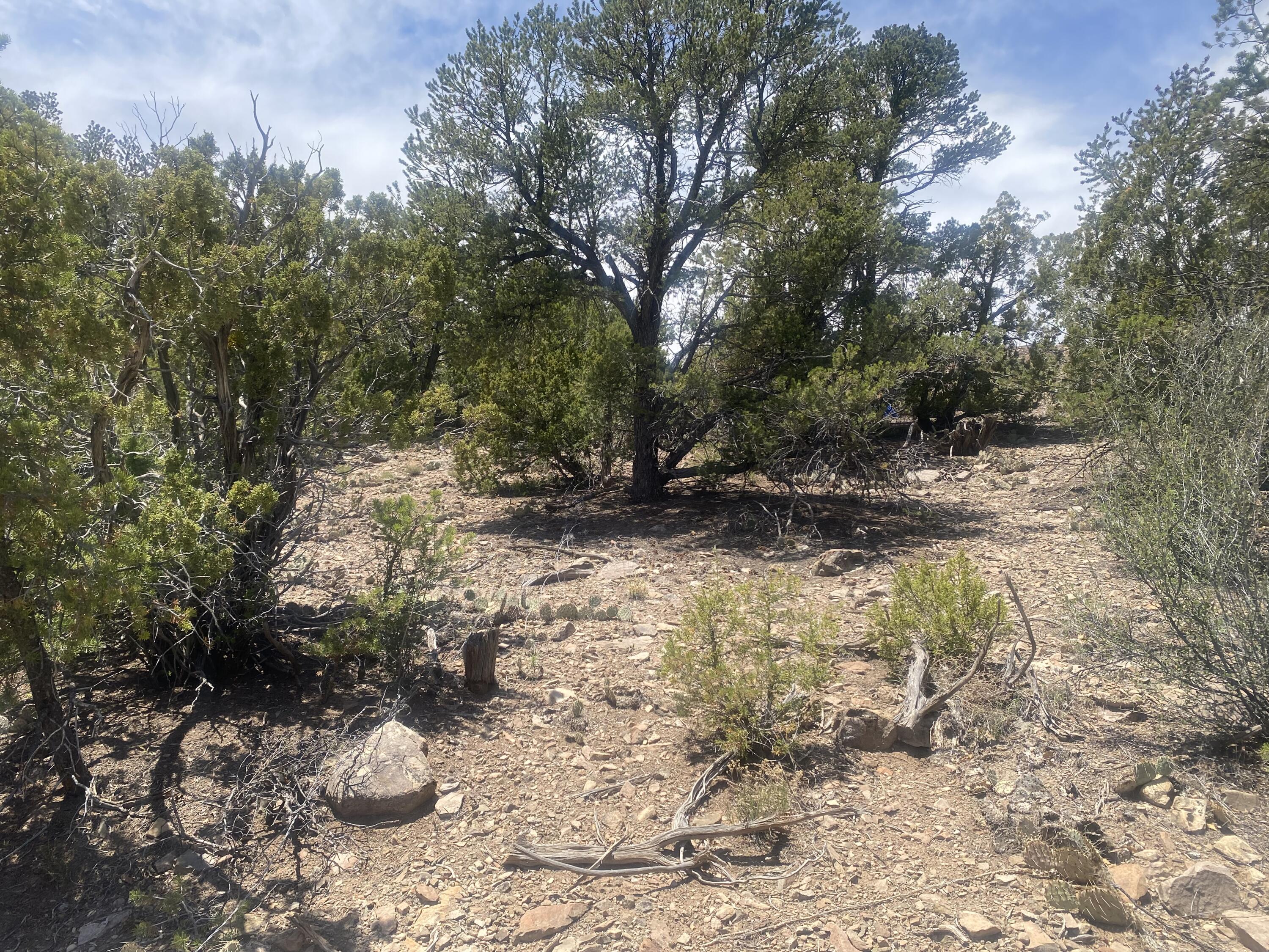 13 Vista Grande Dr, Cedar Crest, New Mexico image 13