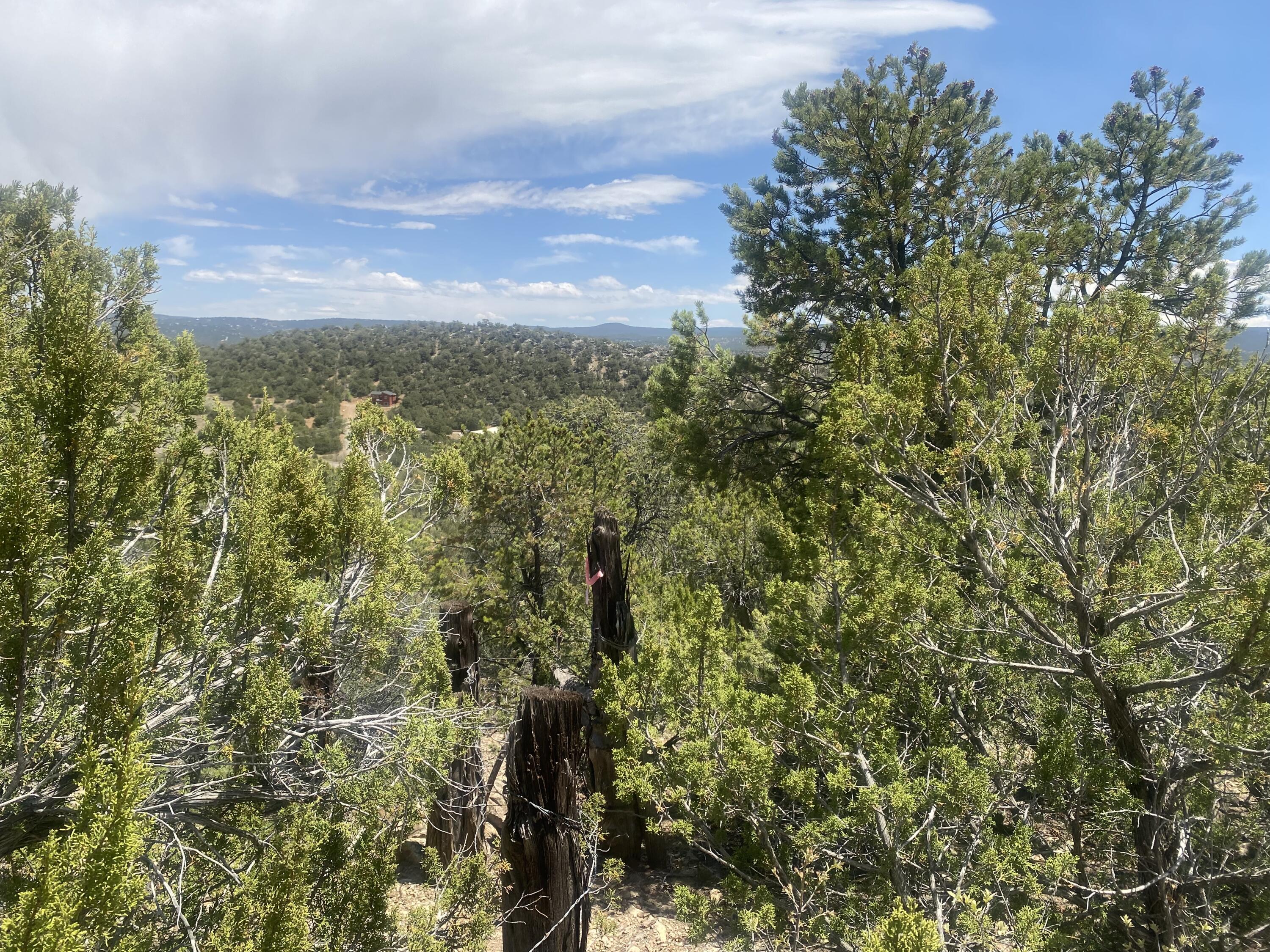 13 Vista Grande Dr, Cedar Crest, New Mexico image 9