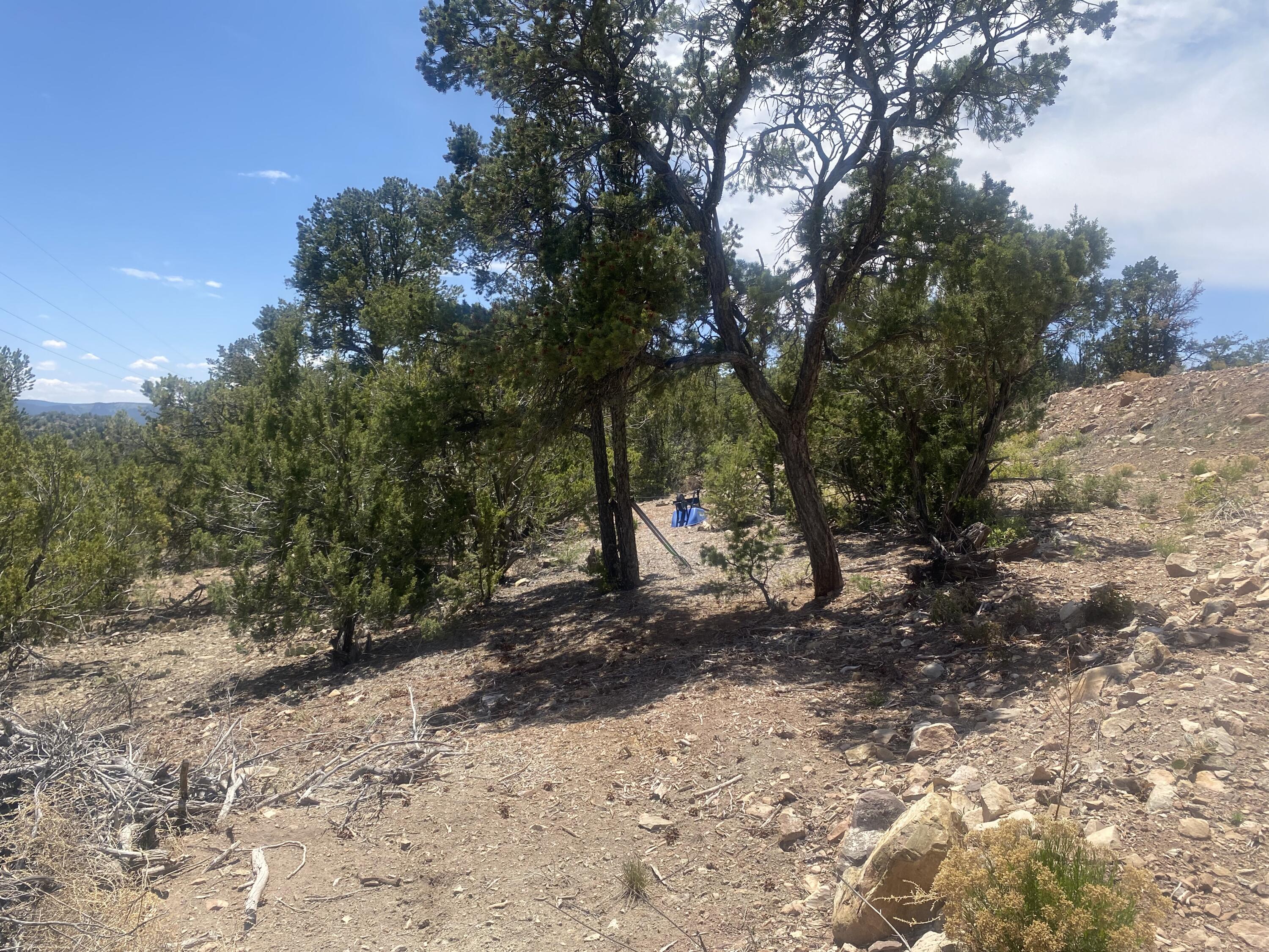 13 Vista Grande Dr, Cedar Crest, New Mexico image 14