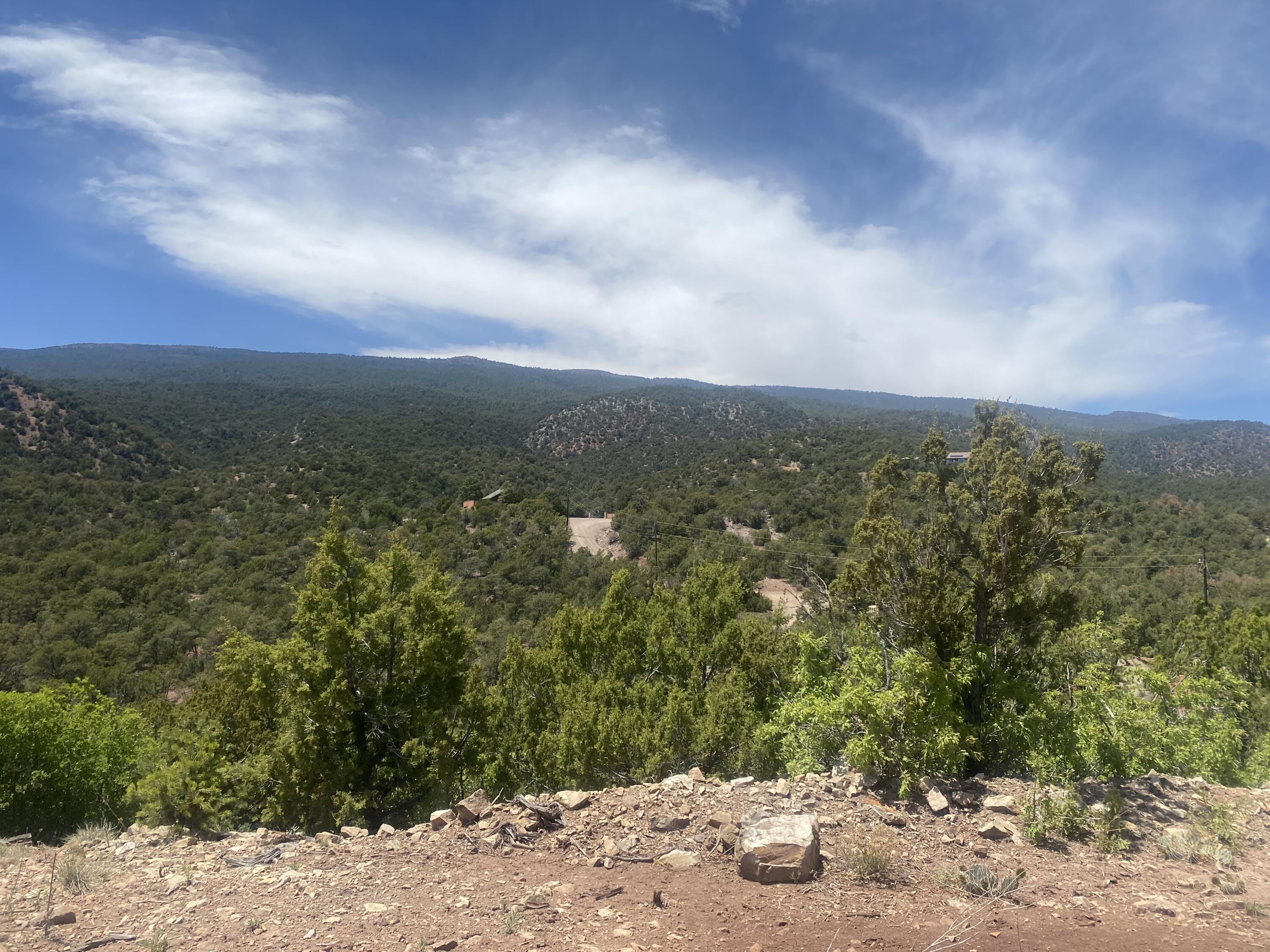 13 Vista Grande Dr, Cedar Crest, New Mexico image 4