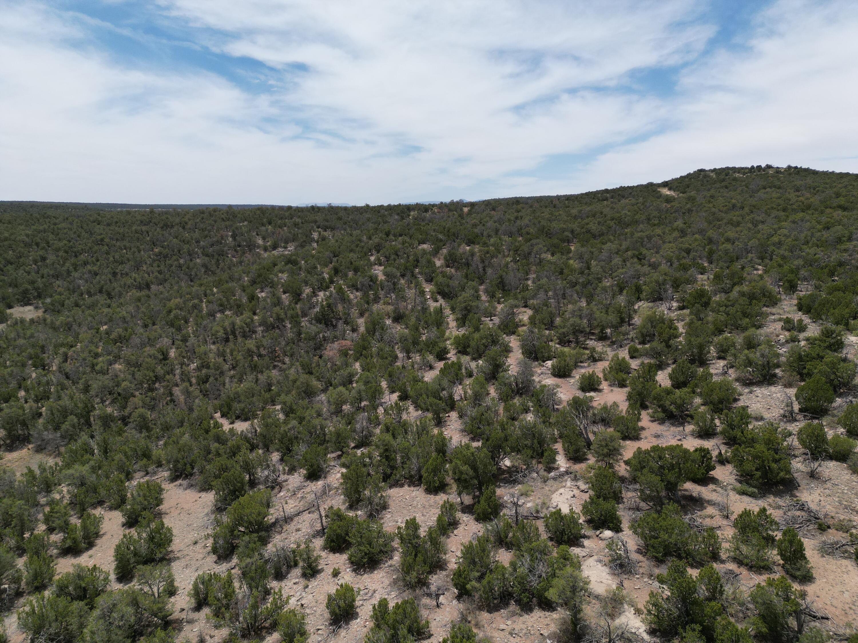 Tbd Cr A99, Edgewood, New Mexico image 13