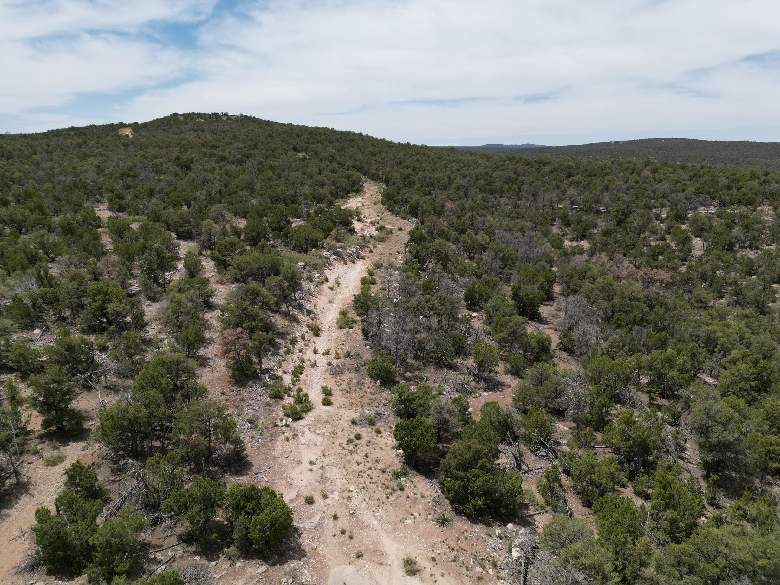 Tbd Cr A99, Edgewood, New Mexico image 12