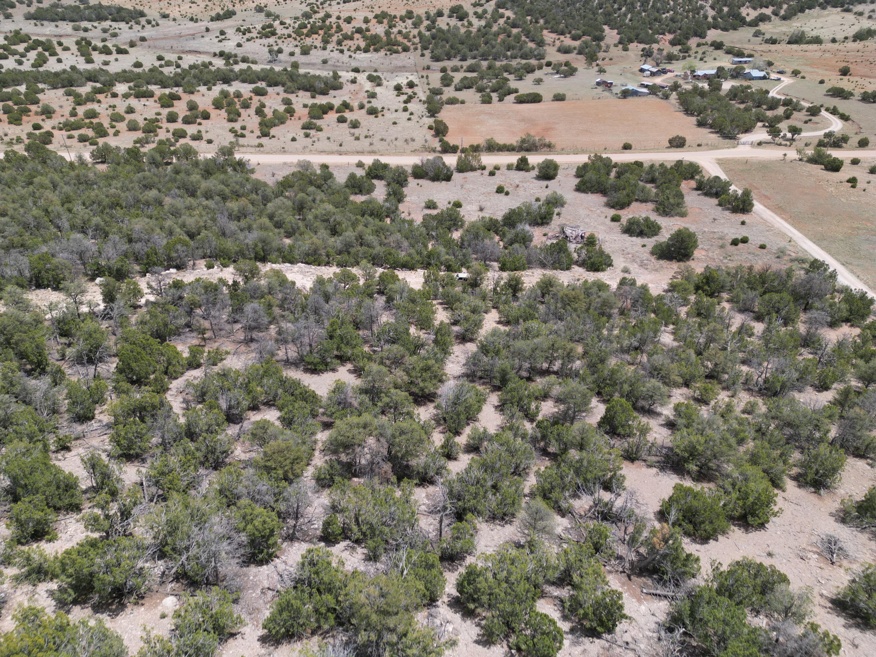 Tbd Cr A99, Edgewood, New Mexico image 6