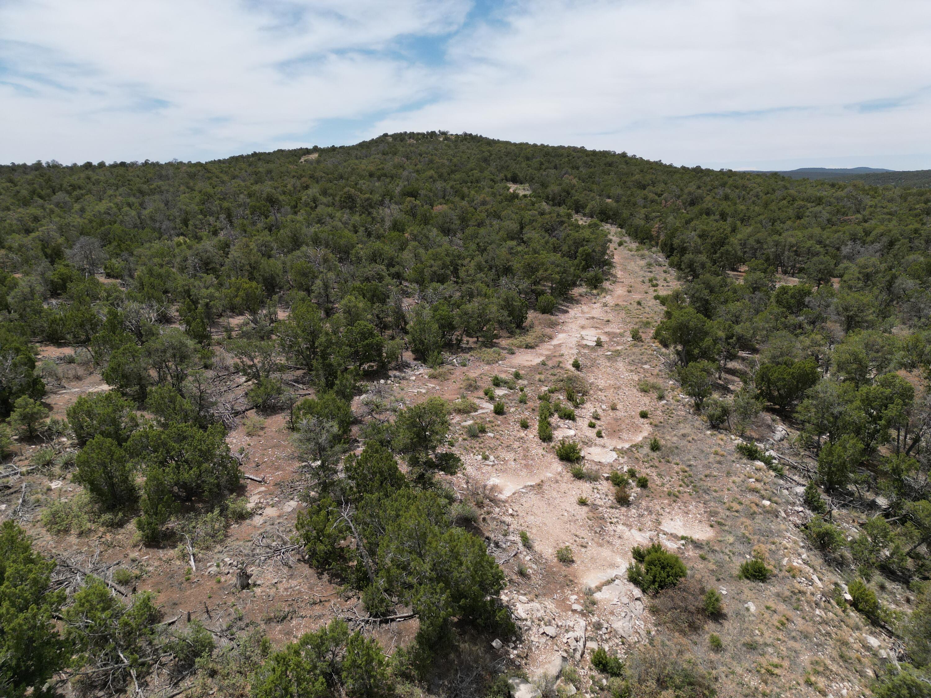 Tbd Cr A99, Edgewood, New Mexico image 2