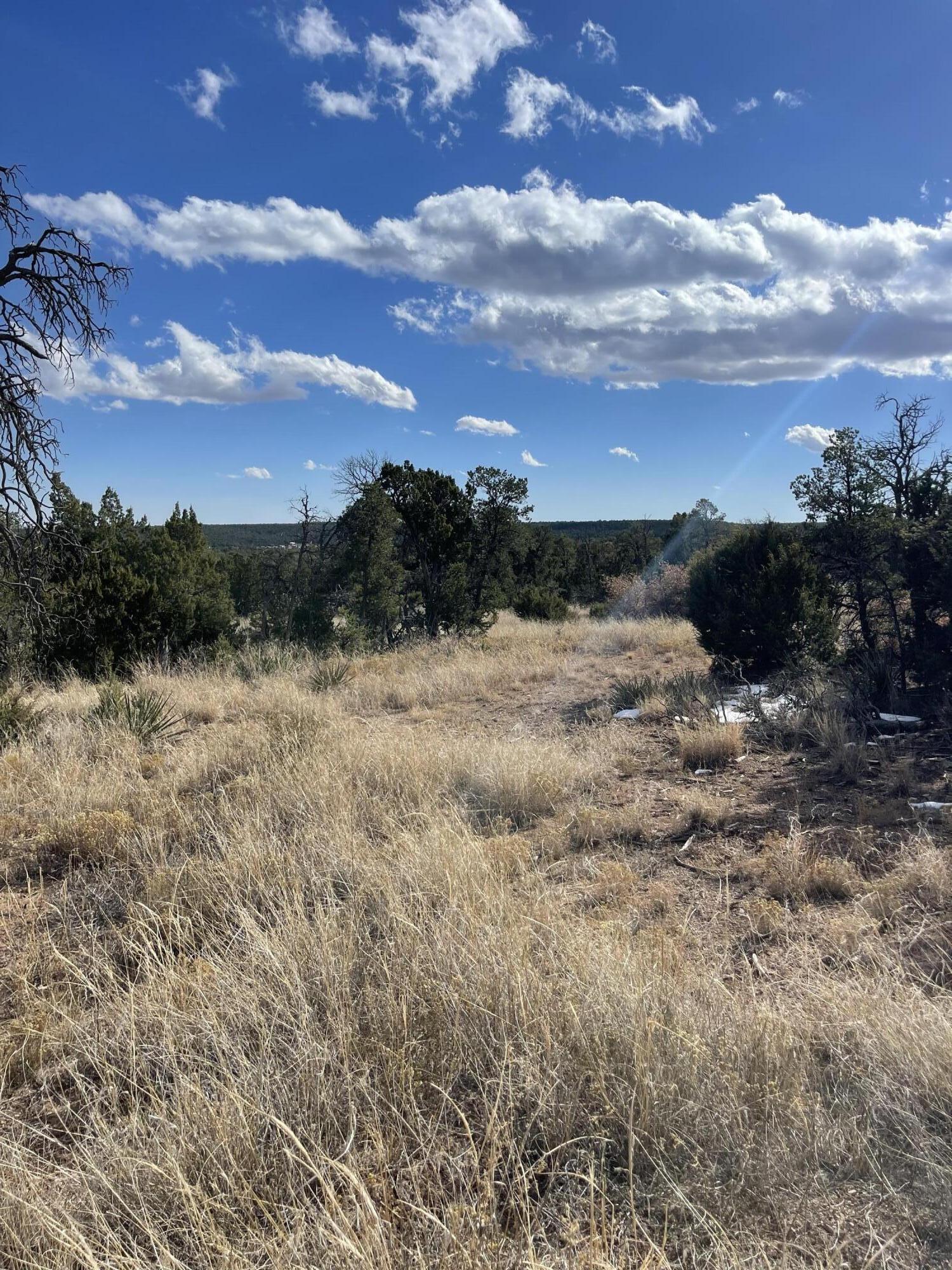 Tbd Cr A99, Edgewood, New Mexico image 16