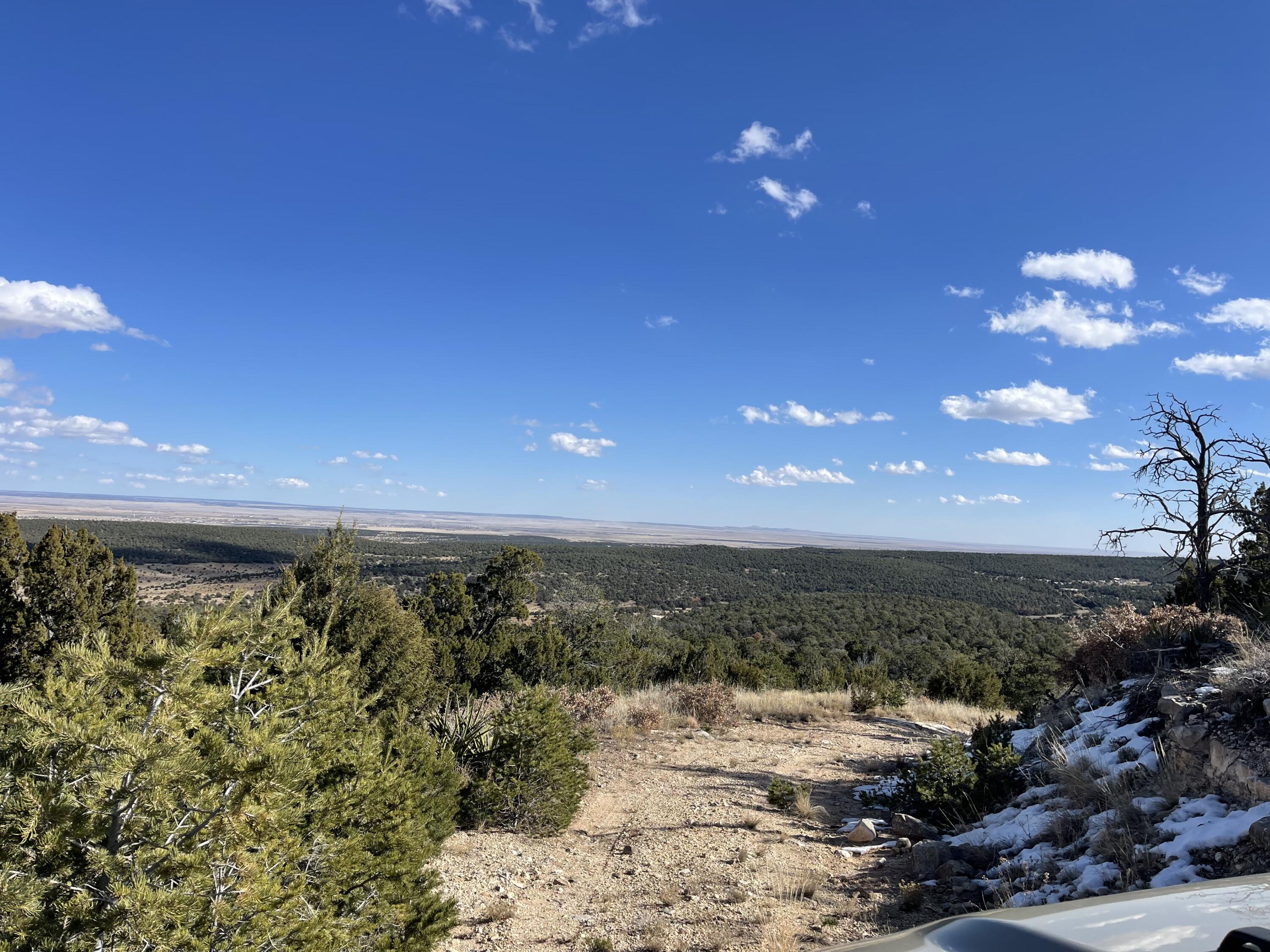 Tbd Cr A99, Edgewood, New Mexico image 3