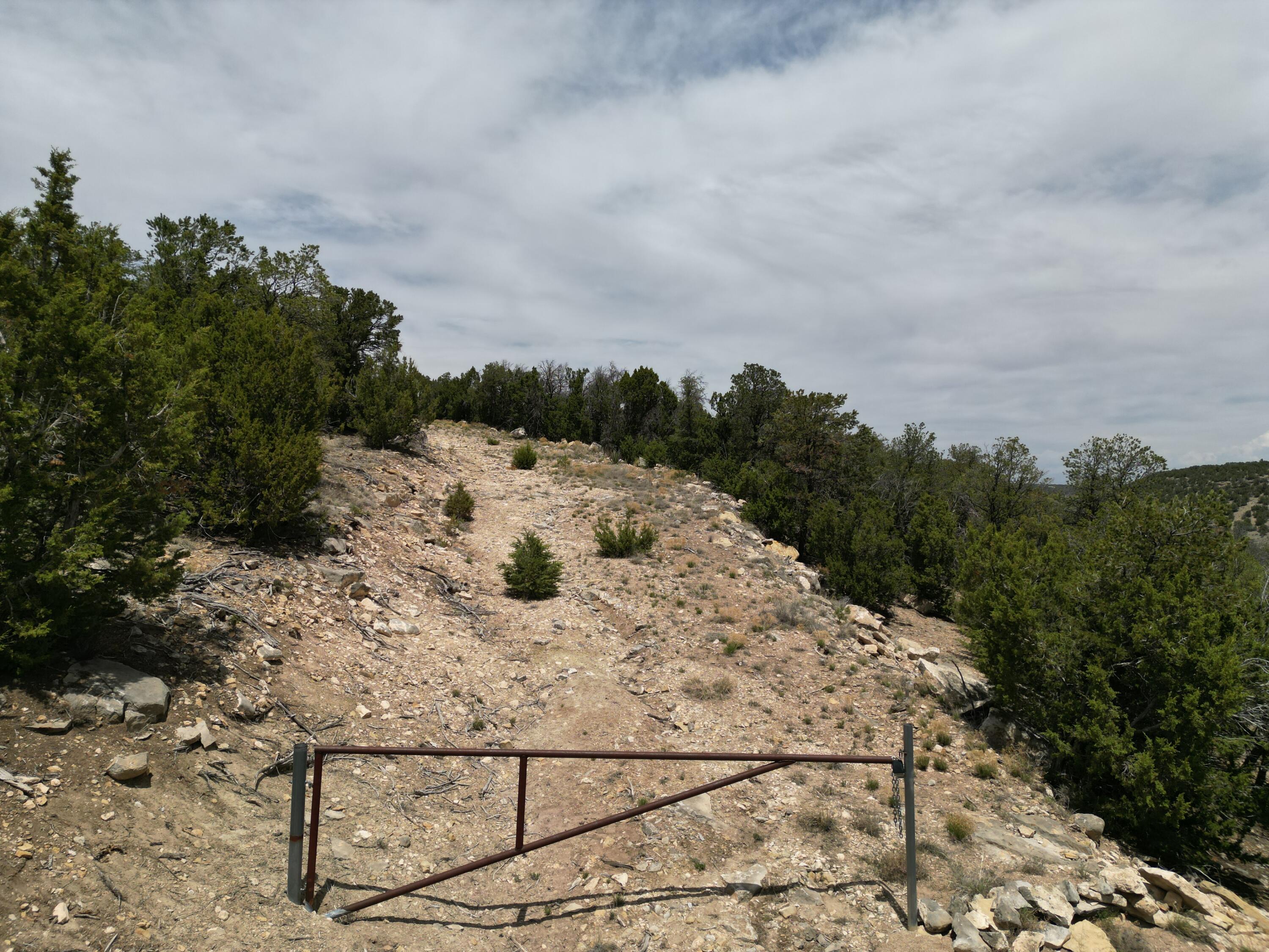 Tbd Cr A99, Edgewood, New Mexico image 4