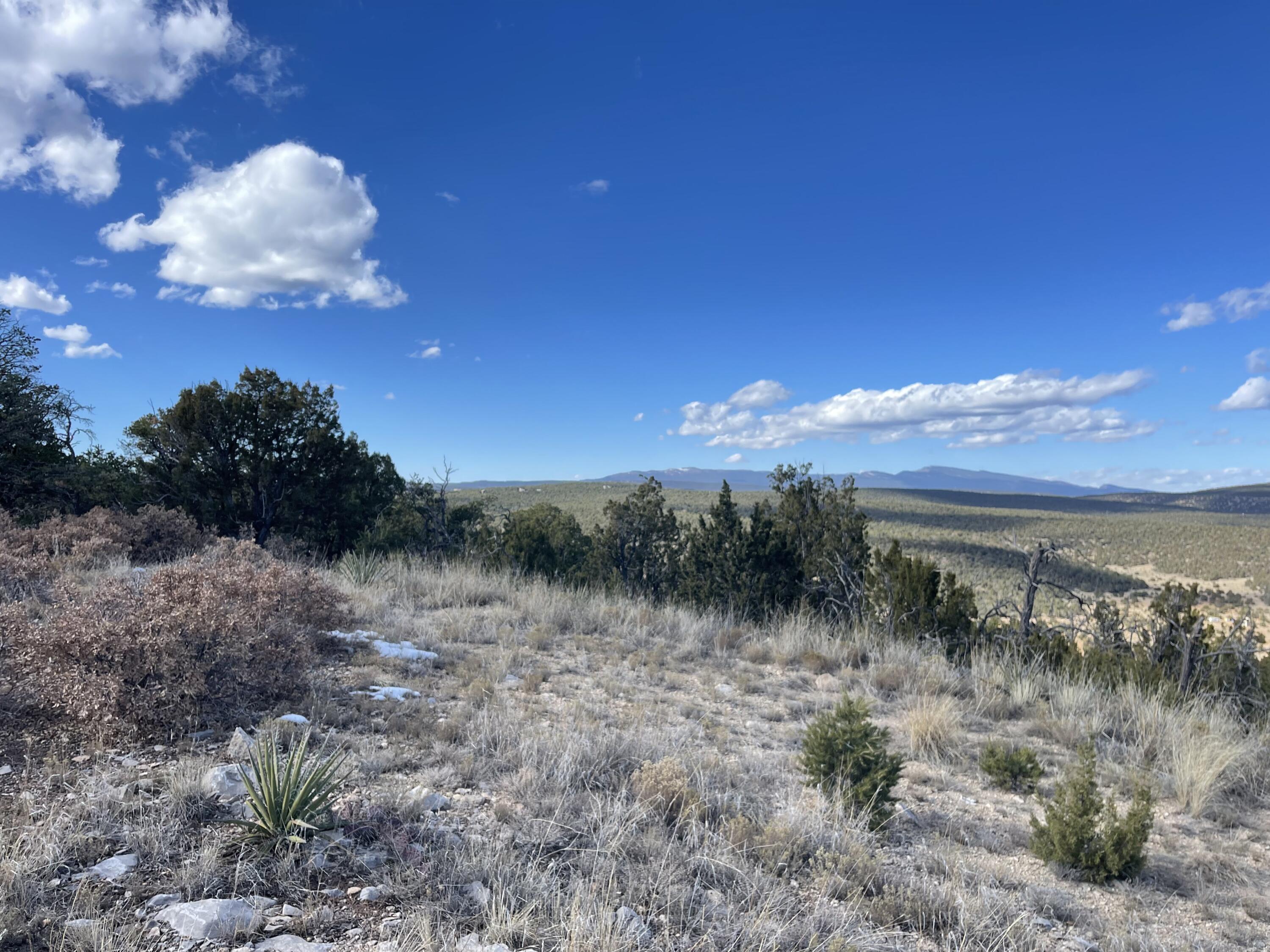 Tbd Cr A99, Edgewood, New Mexico image 14