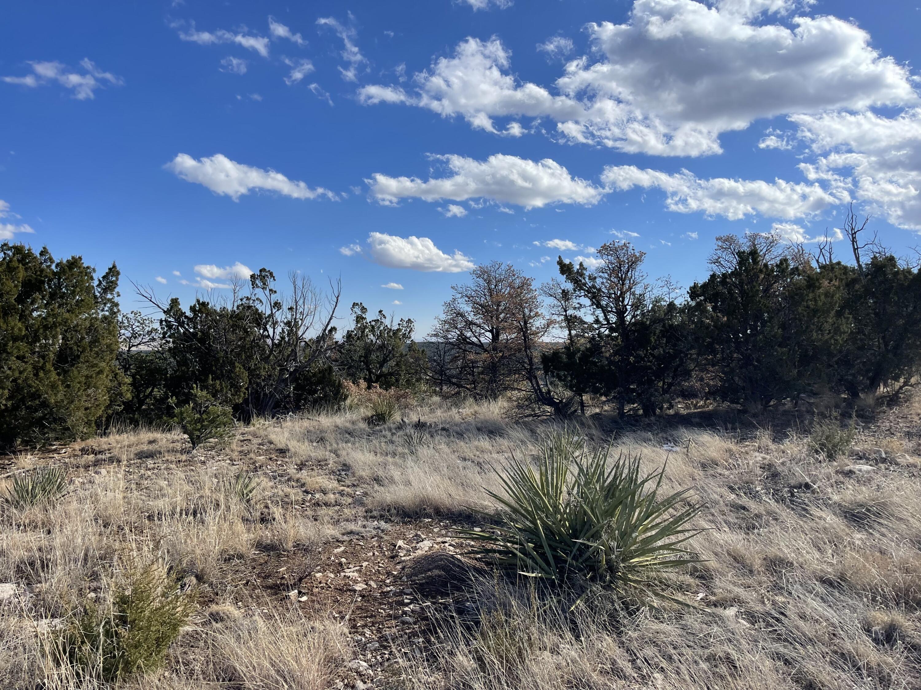 Tbd Cr A99, Edgewood, New Mexico image 19