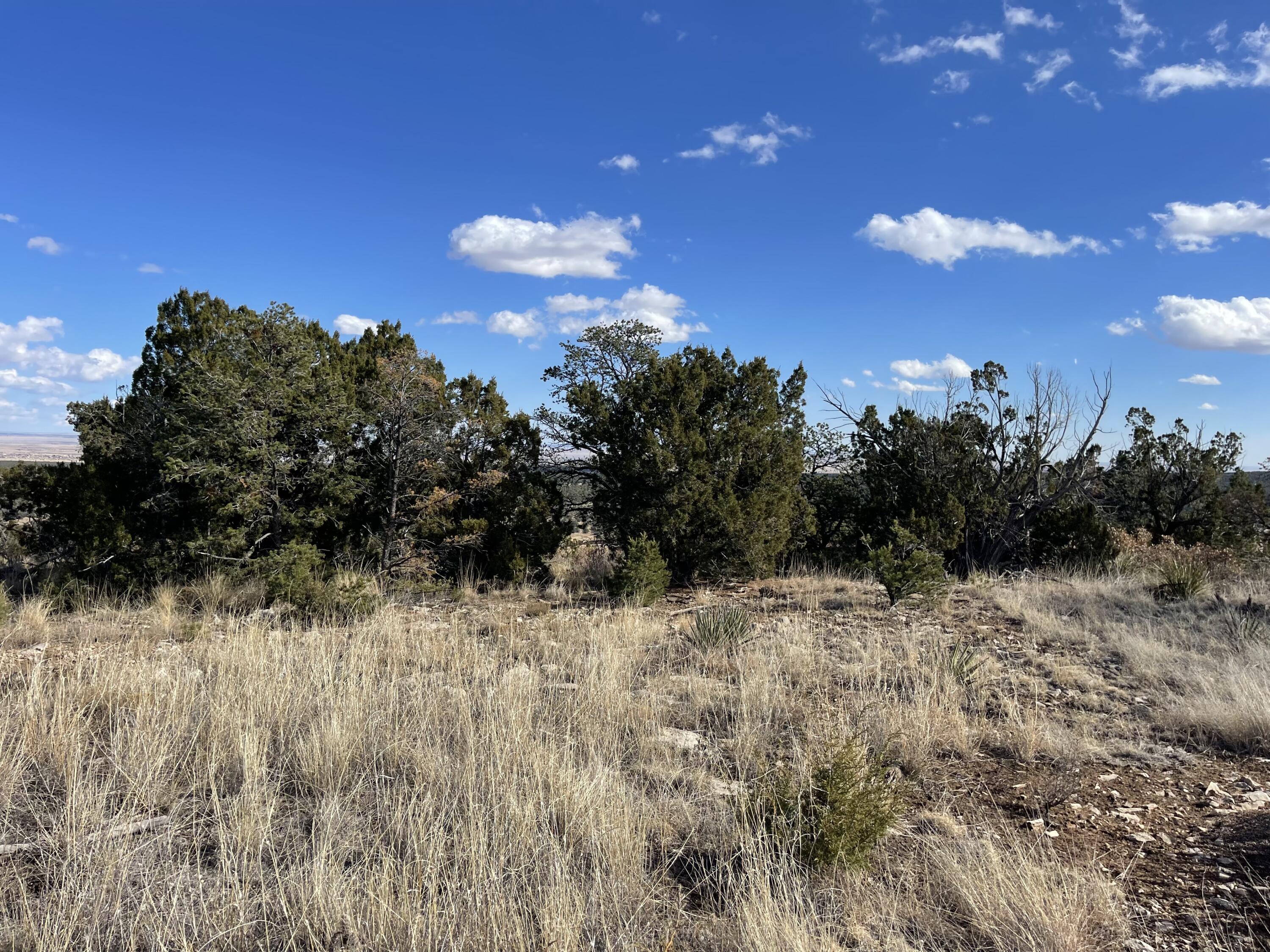 Tbd Cr A99, Edgewood, New Mexico image 18