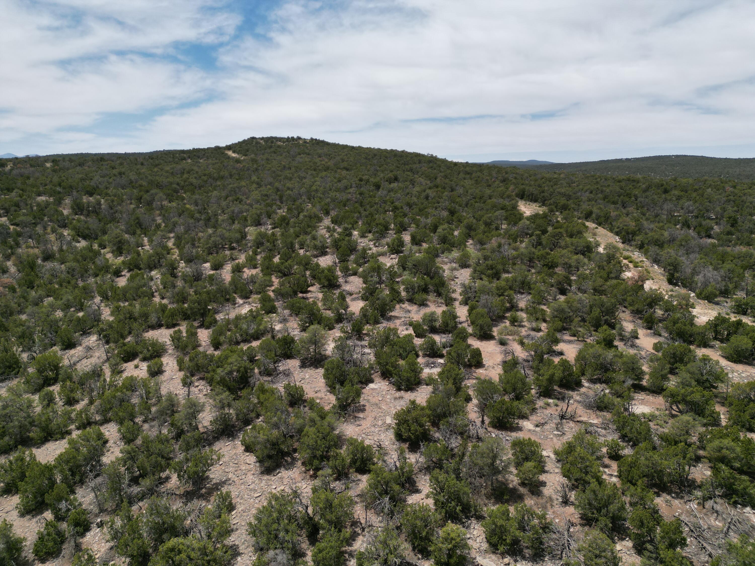 Tbd Cr A99, Edgewood, New Mexico image 5