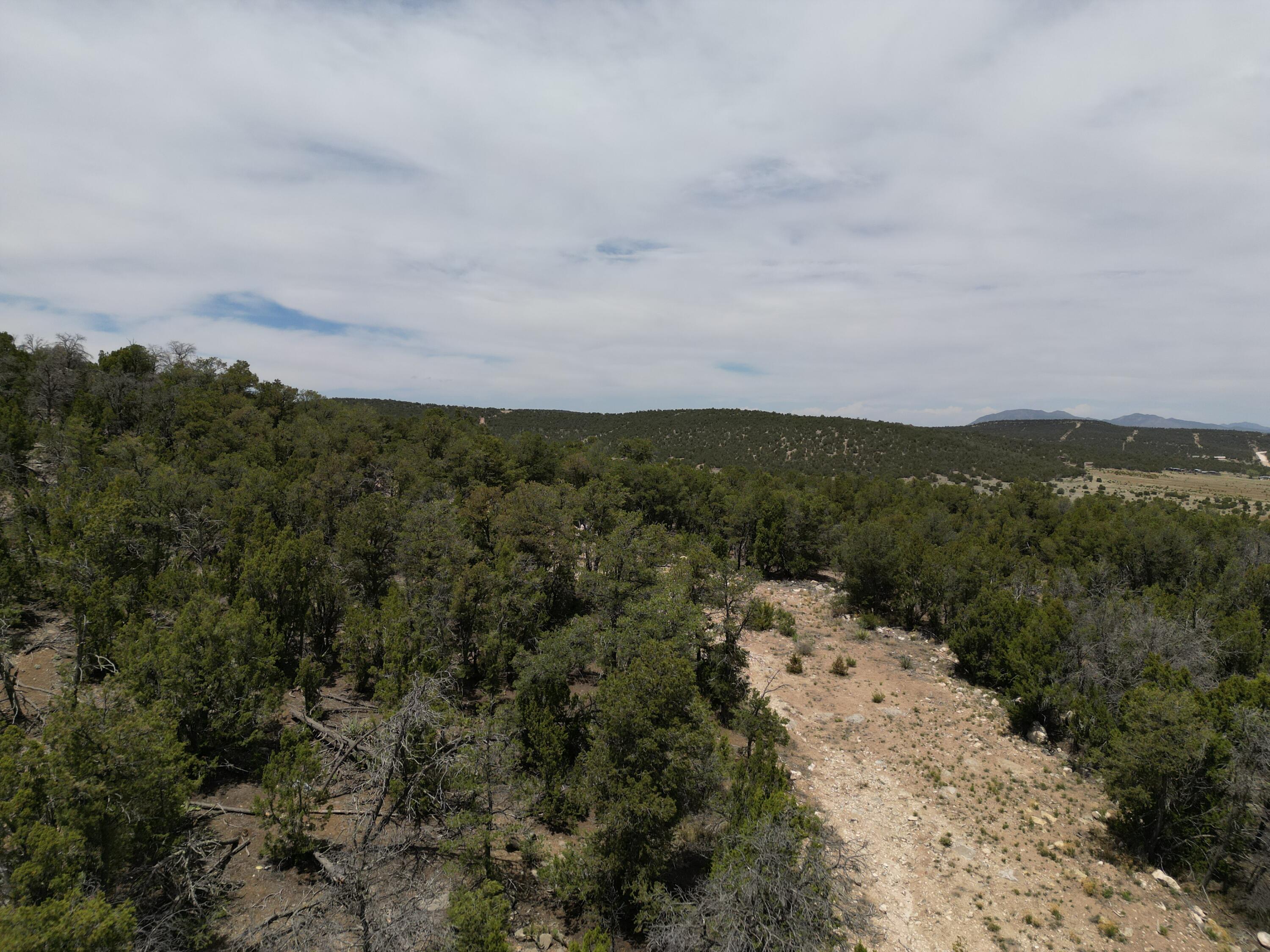 Tbd Cr A99, Edgewood, New Mexico image 9