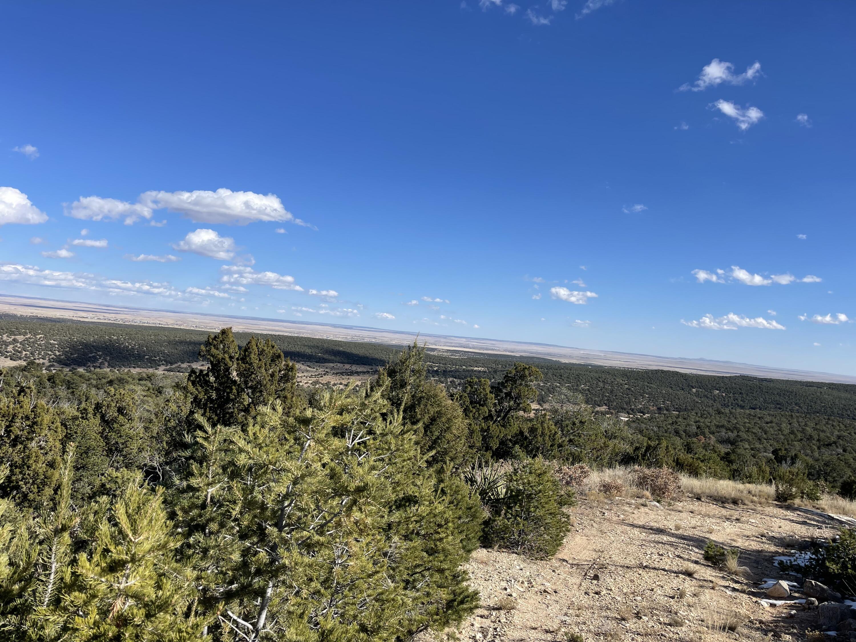 Tbd Cr A99, Edgewood, New Mexico image 7