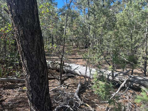 Vacant Land For Sale - 9 Camino Sombreado<br/> Tijeras, NM 87059
