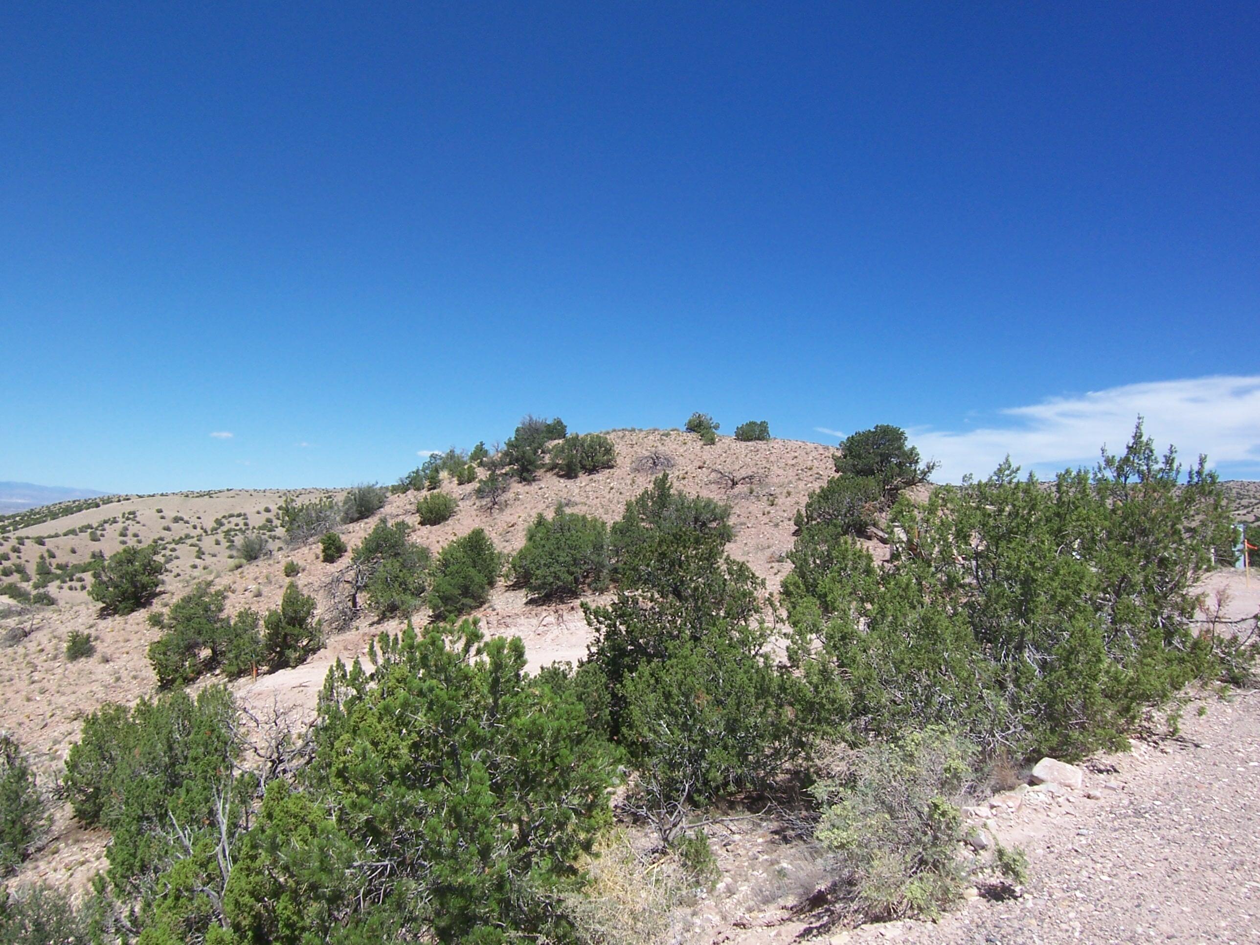 7 Calle Sabina, Placitas, New Mexico image 6