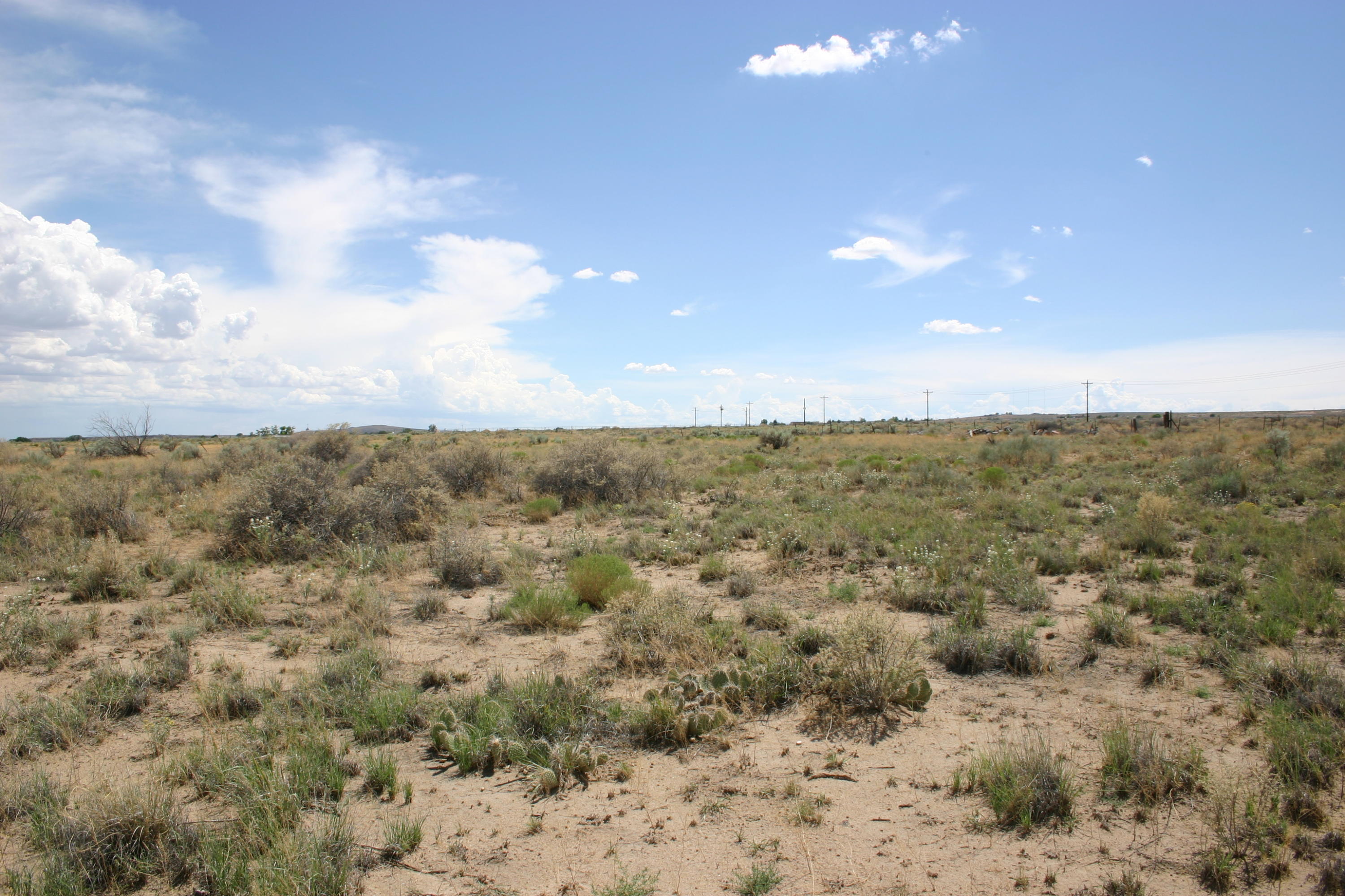 County Rd A012 #15, Tajique, New Mexico image 2