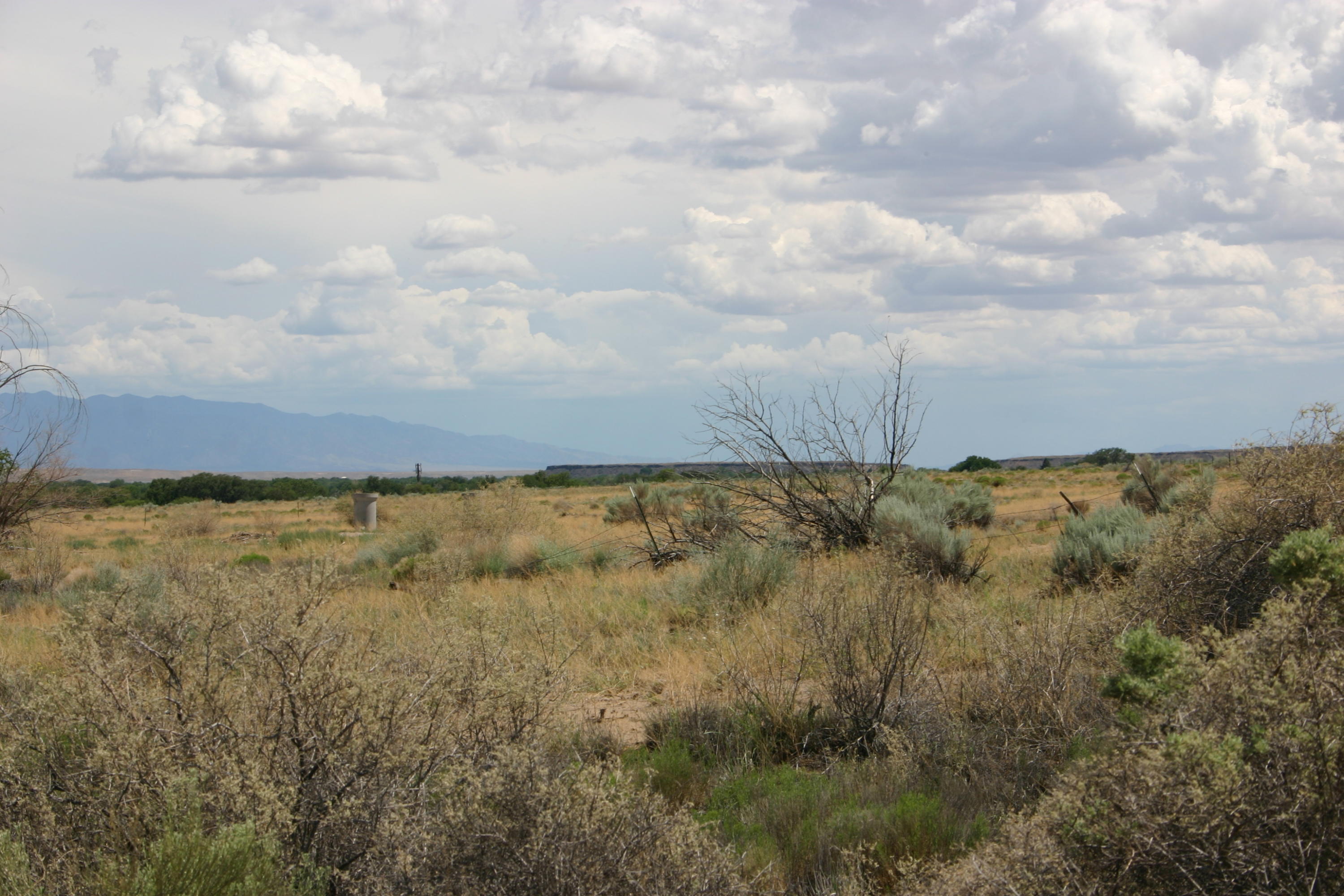 County Rd A012 #15, Tajique, New Mexico image 7