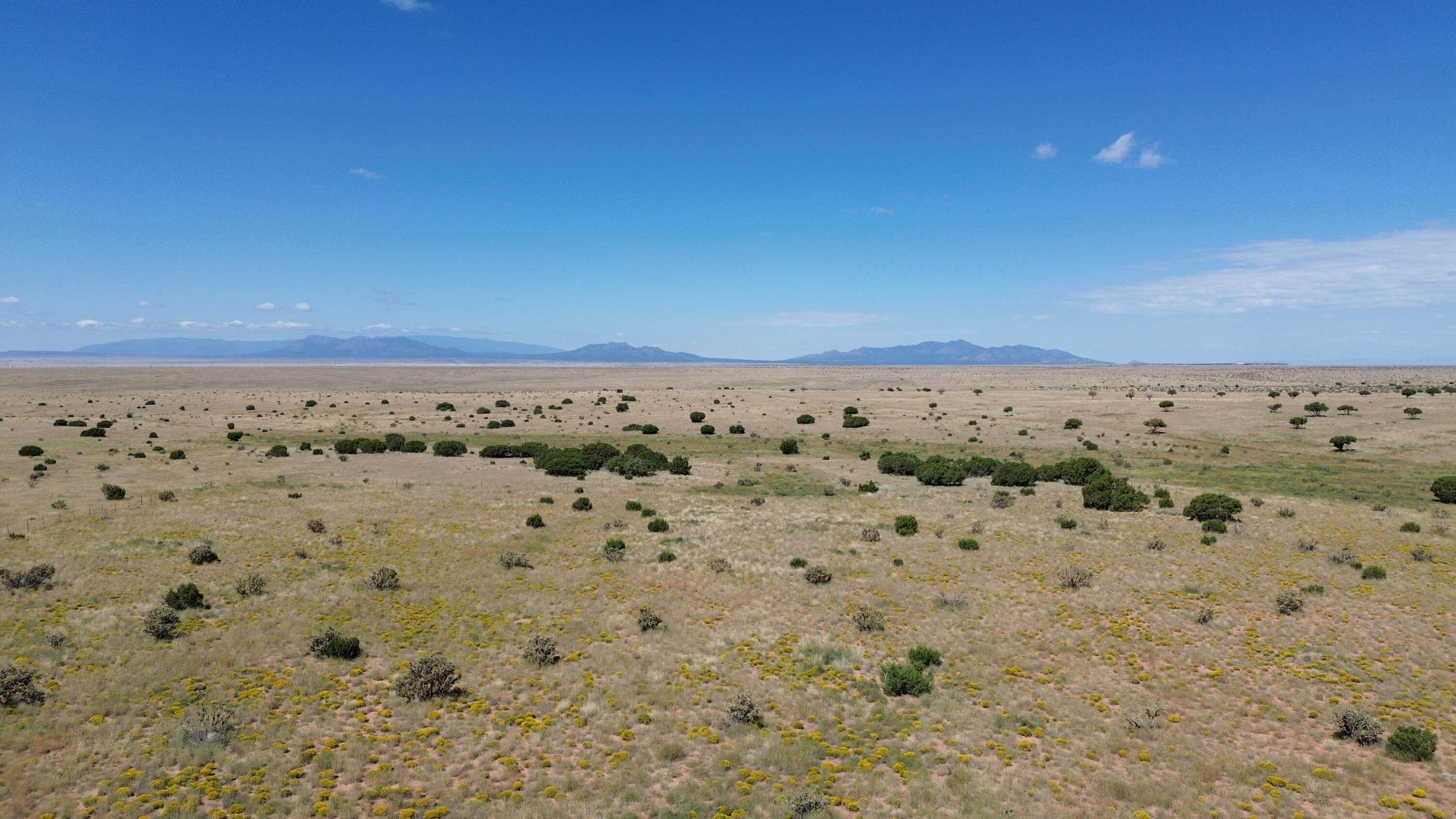 247 Rough Road, Stanley, New Mexico image 38