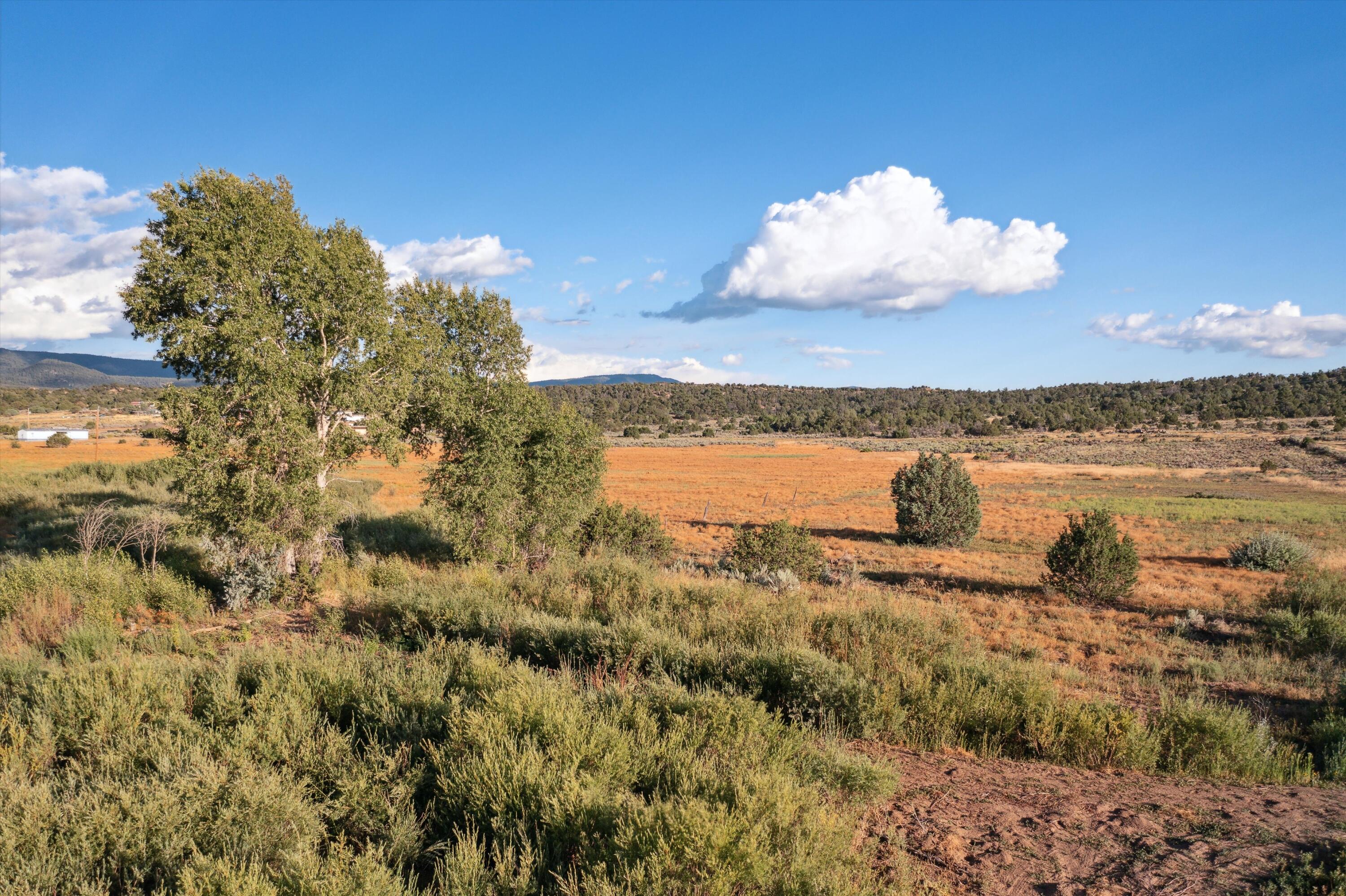 6340 Us 550 Highway, Cuba, New Mexico image 9