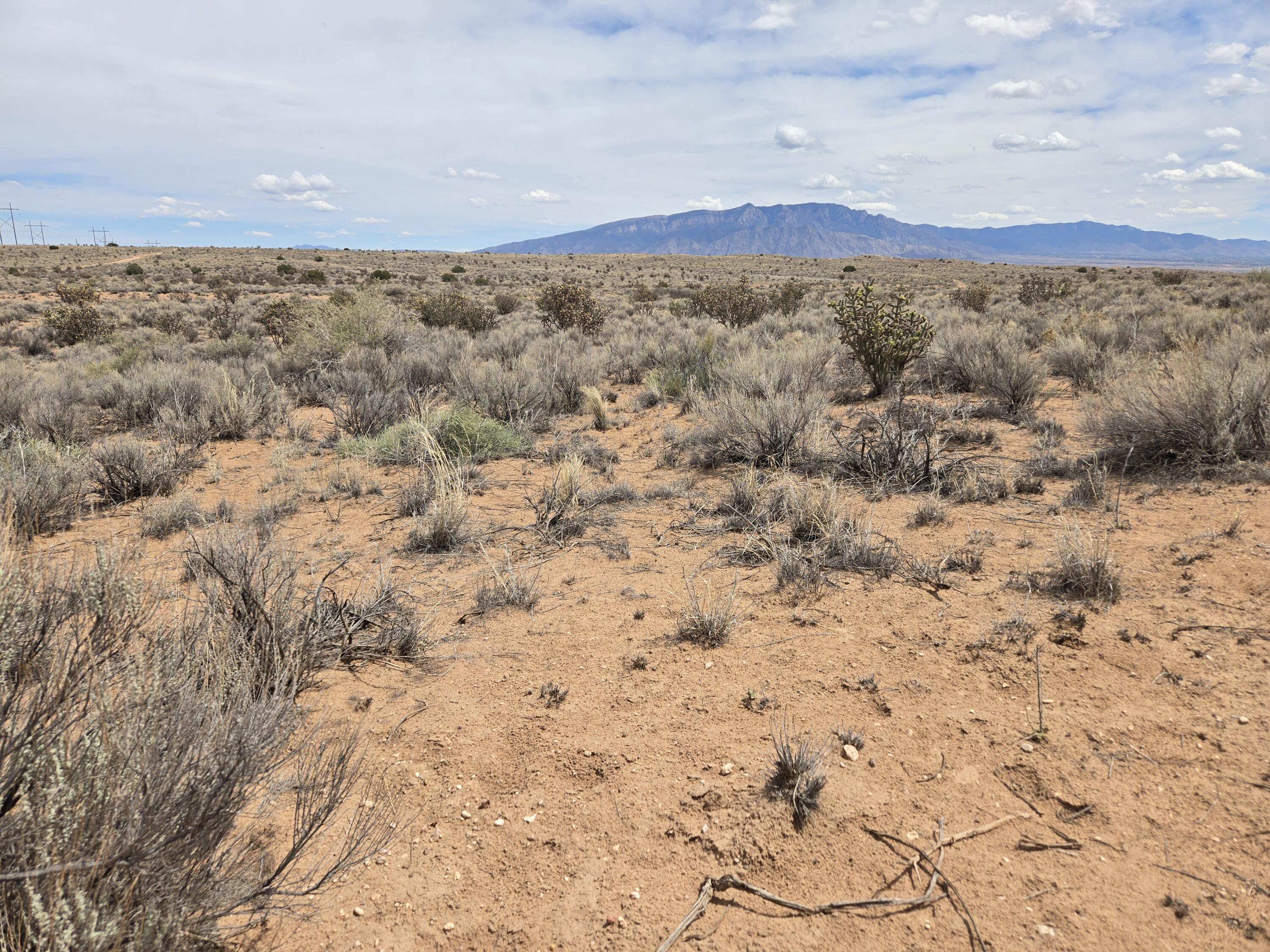 3812 Black Juniper Court NE