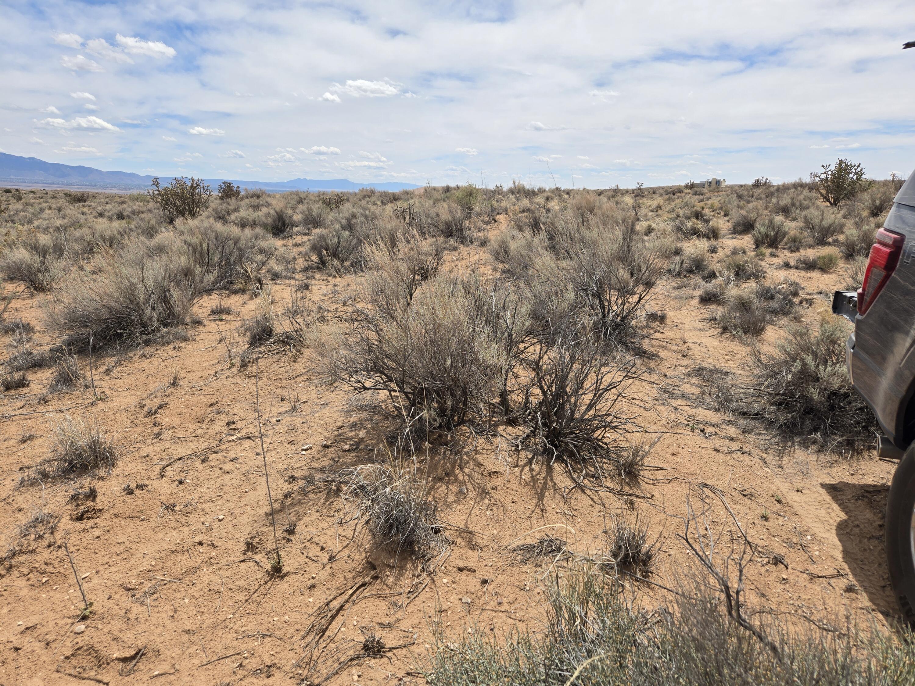 3812 Black Juniper Court NE