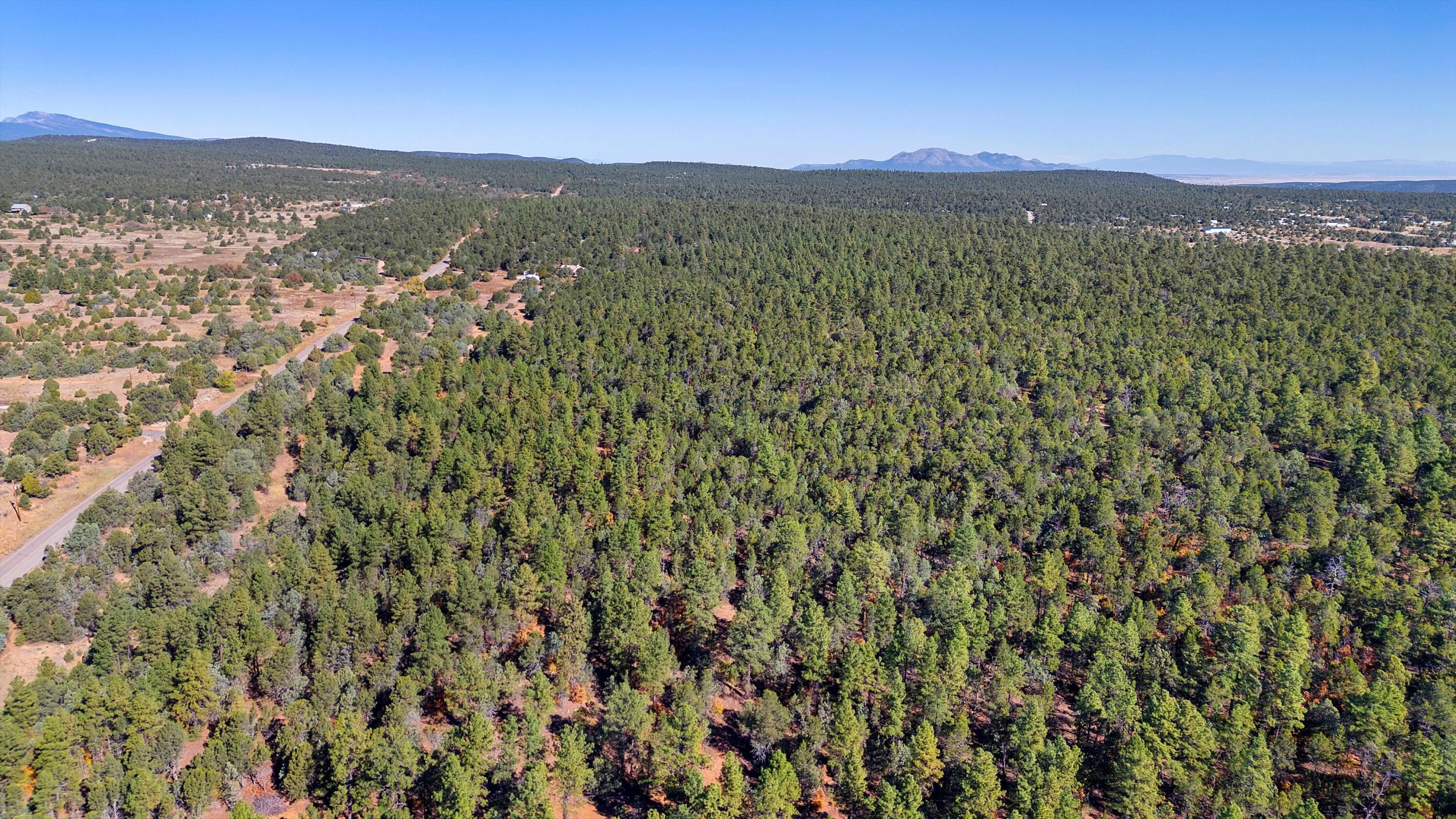 94 Anaya Road, Tijeras, New Mexico image 4