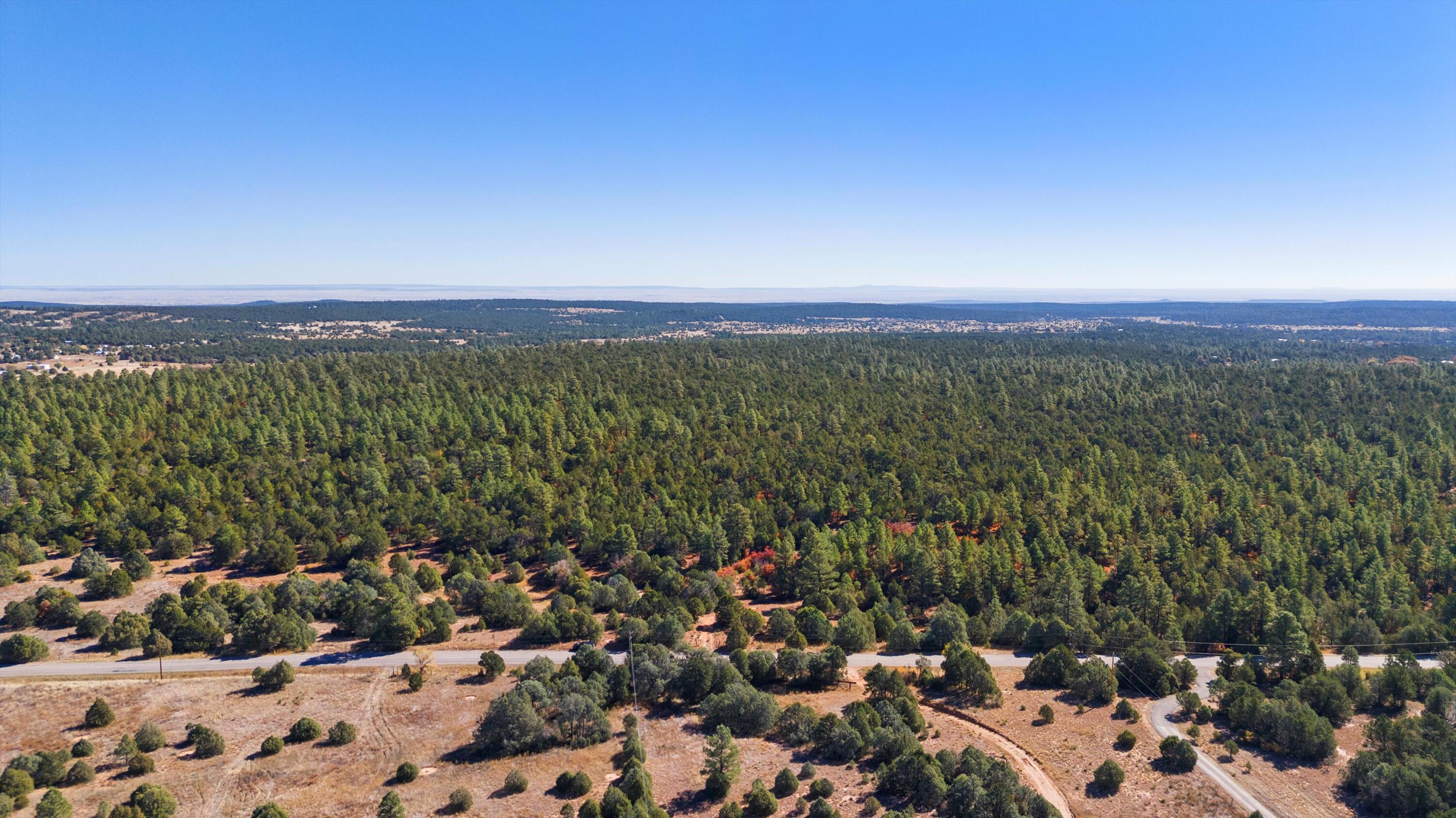 94 Anaya Road, Tijeras, New Mexico image 6