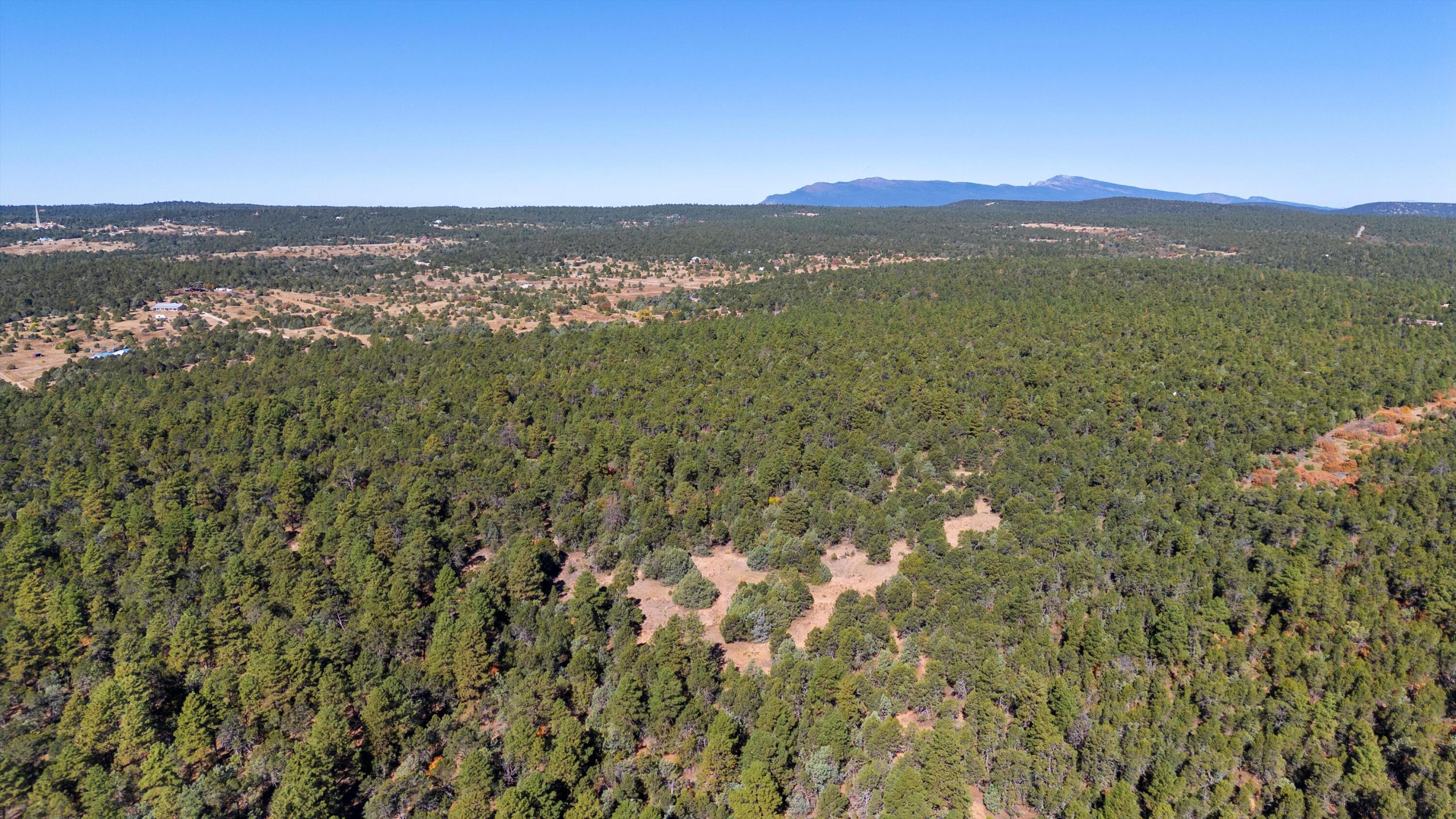 94 Anaya Road, Tijeras, New Mexico image 8