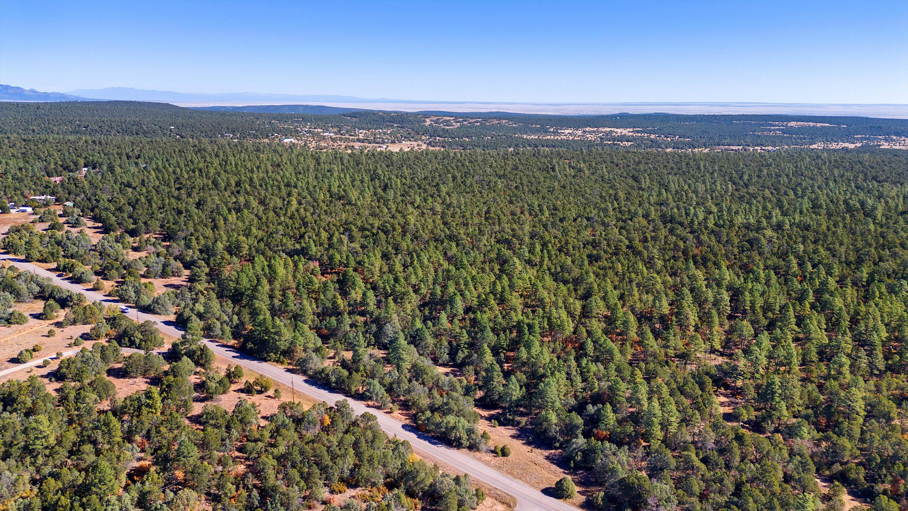 94 Anaya Road, Tijeras, New Mexico image 3