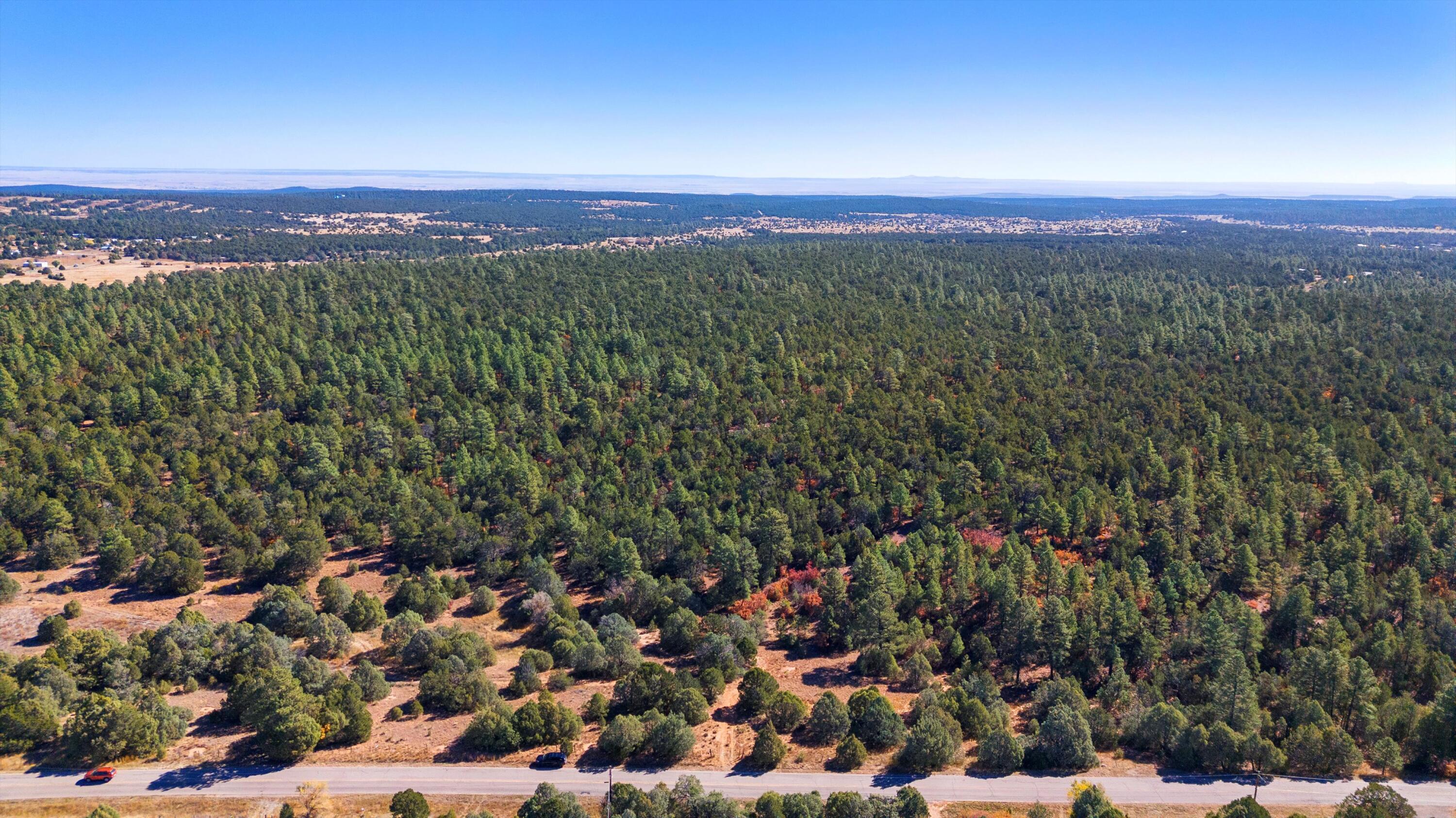 94 Anaya Road, Tijeras, New Mexico image 10