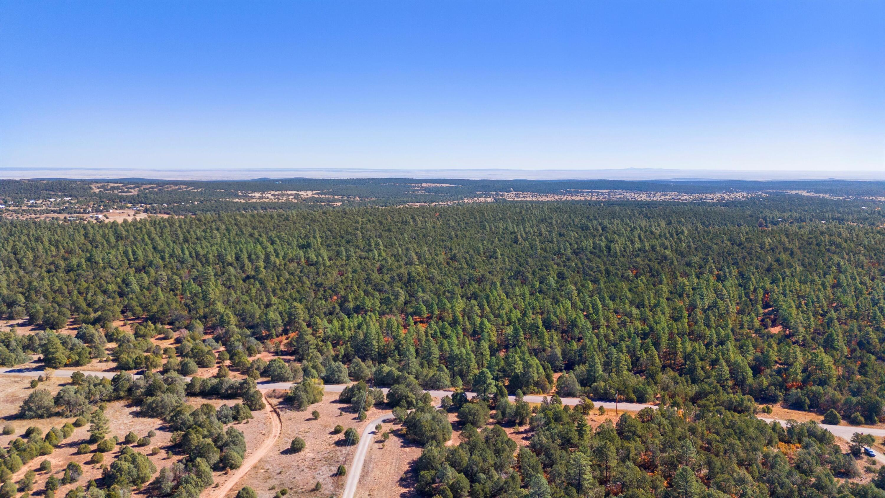 94 Anaya Road, Tijeras, New Mexico image 11