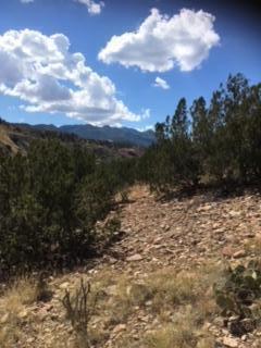 2811 Nm-14, Madrid, New Mexico image 6