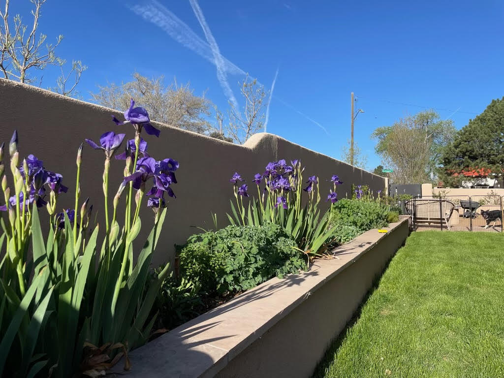 1000 Richmond Drive, Albuquerque, New Mexico image 39