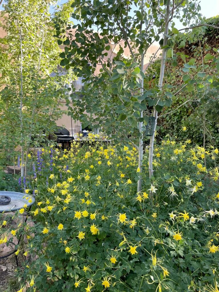 1000 Richmond Drive, Albuquerque, New Mexico image 38