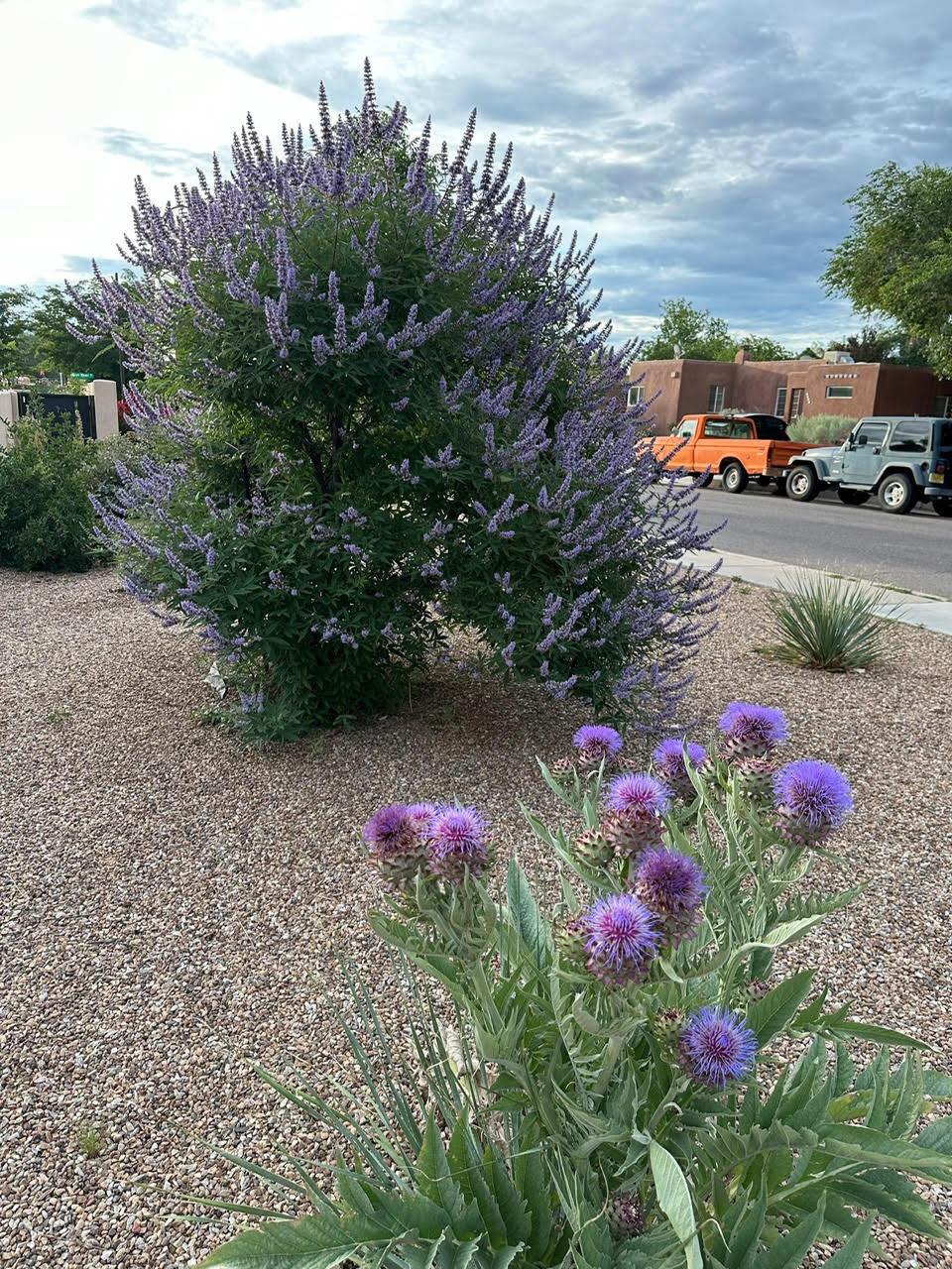 1000 Richmond Drive, Albuquerque, New Mexico image 36